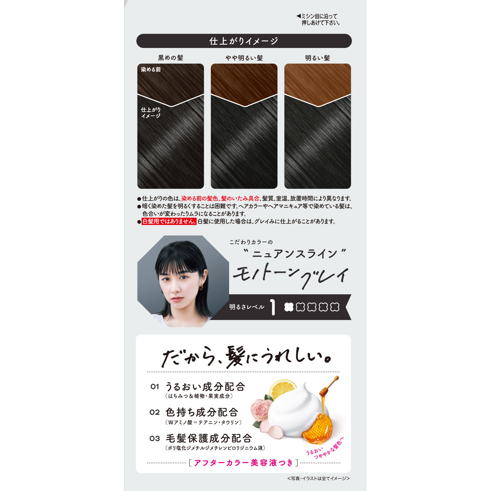 ビューティラボ ホイップヘアカラー モノトーングレイ ４０ｍｌ＋８０ｍｌ ホーユー (医薬部外品)