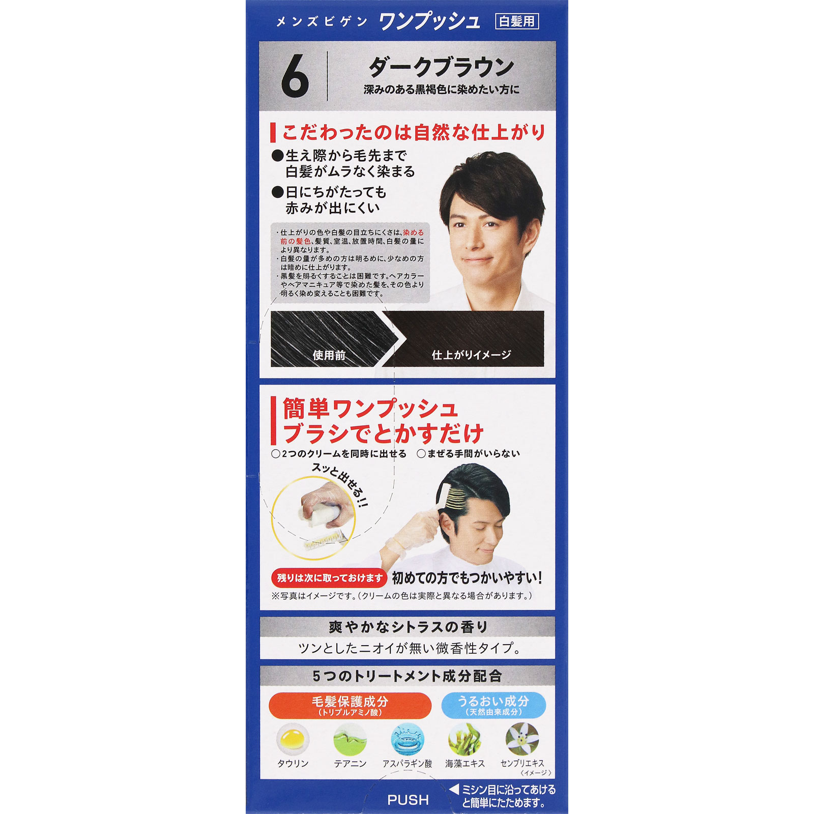 メンズビゲン ワンプッシュ ６ ダークブラウン ４０ｇ＋４０ｇ ホーユー (医薬部外品)
