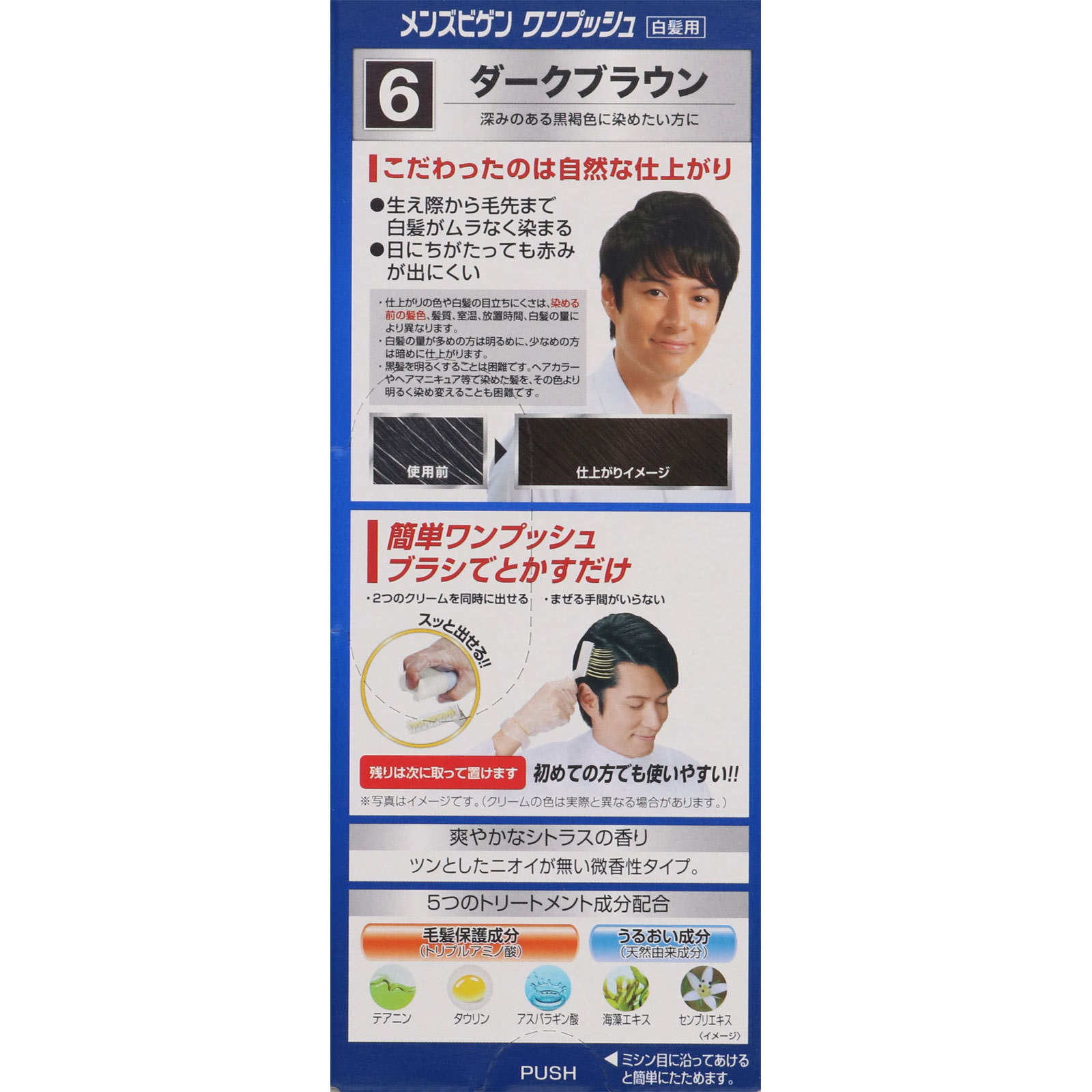 メンズビゲン ワンプッシュ ６ ダークブラウン ４０ｇ＋４０ｇ ホーユー (医薬部外品)