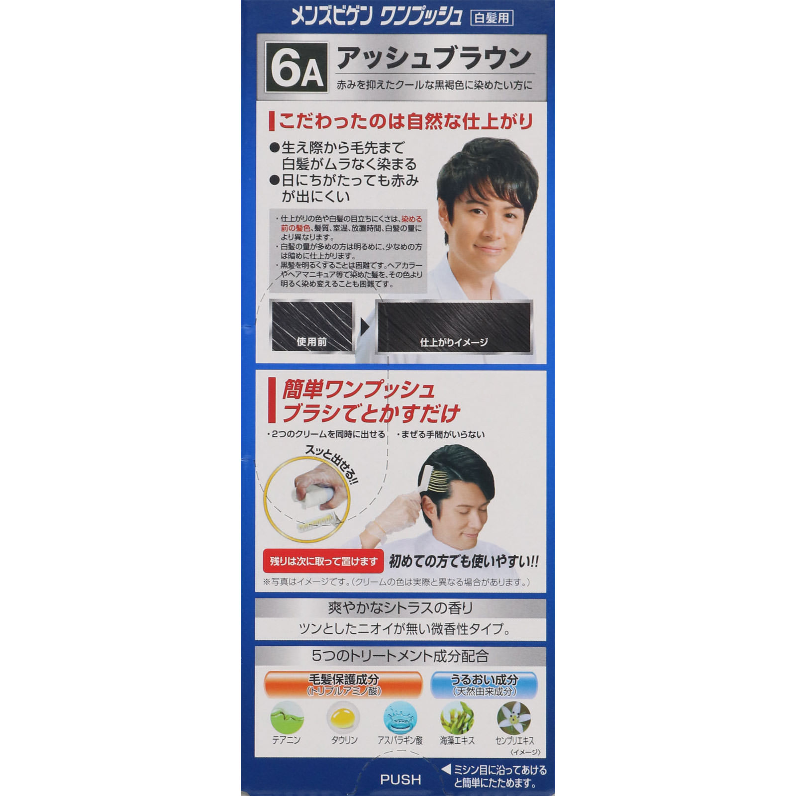 メンズビゲン ワンプッシュ ６Ａ アッシュブラウン ４０ｇ＋４０ｇ ホーユー (医薬部外品)