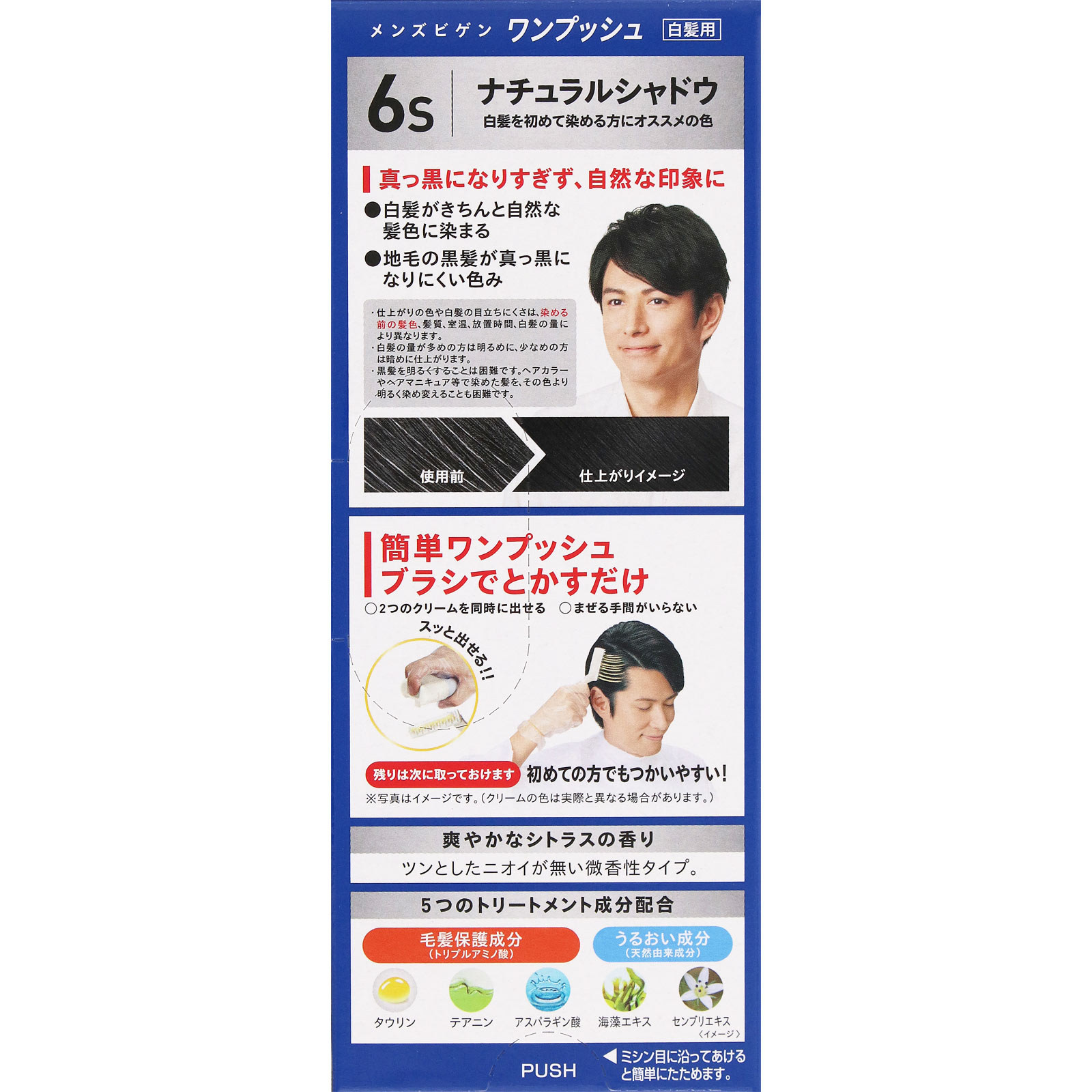 メンズビゲン　ワンプッシュ６Ｓ　ナチュラルシャドウ ４０ｇ＋４０ｇ ホーユー (医薬部外品)
