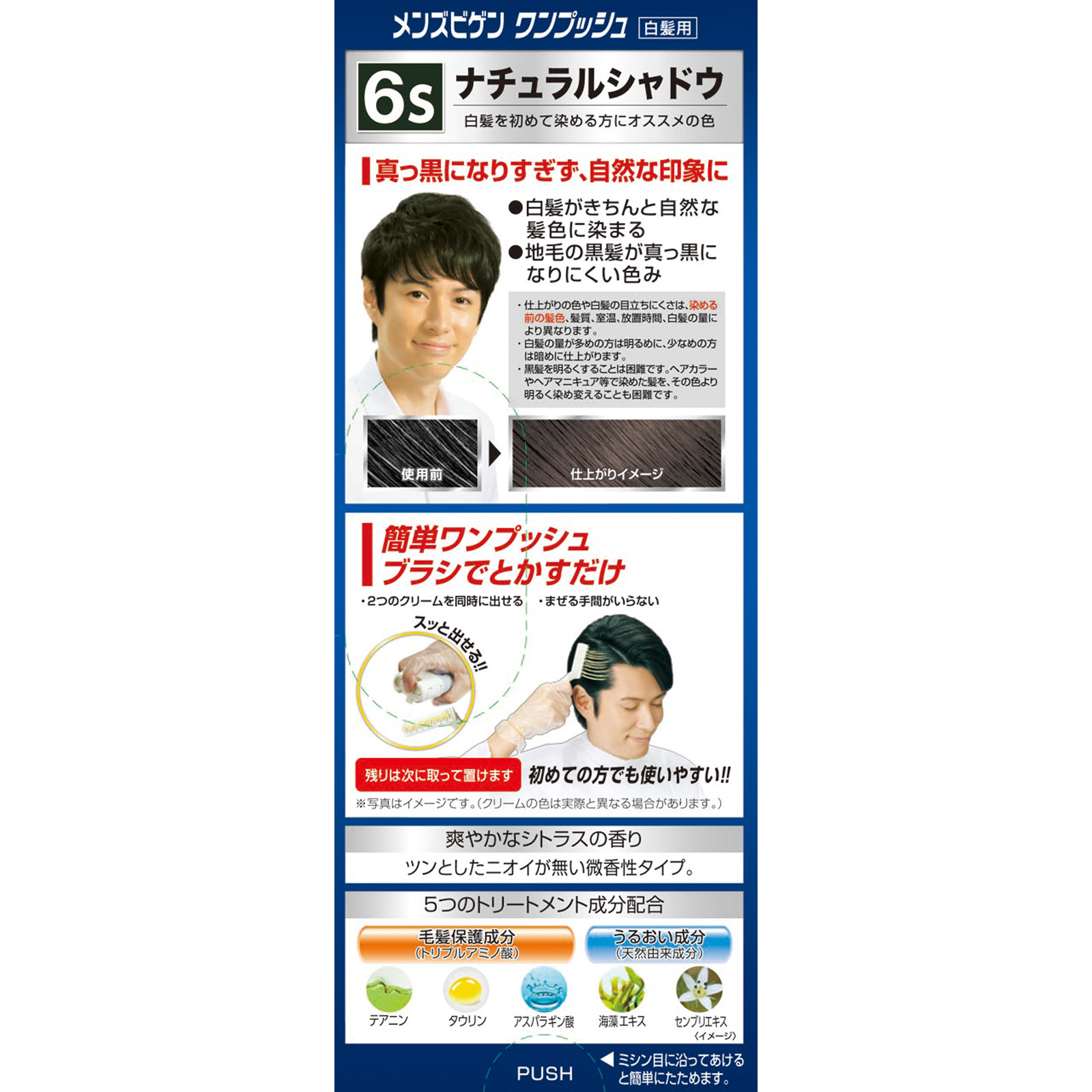メンズビゲン　ワンプッシュ６Ｓ　ナチュラルシャドウ ４０ｇ＋４０ｇ ホーユー (医薬部外品)