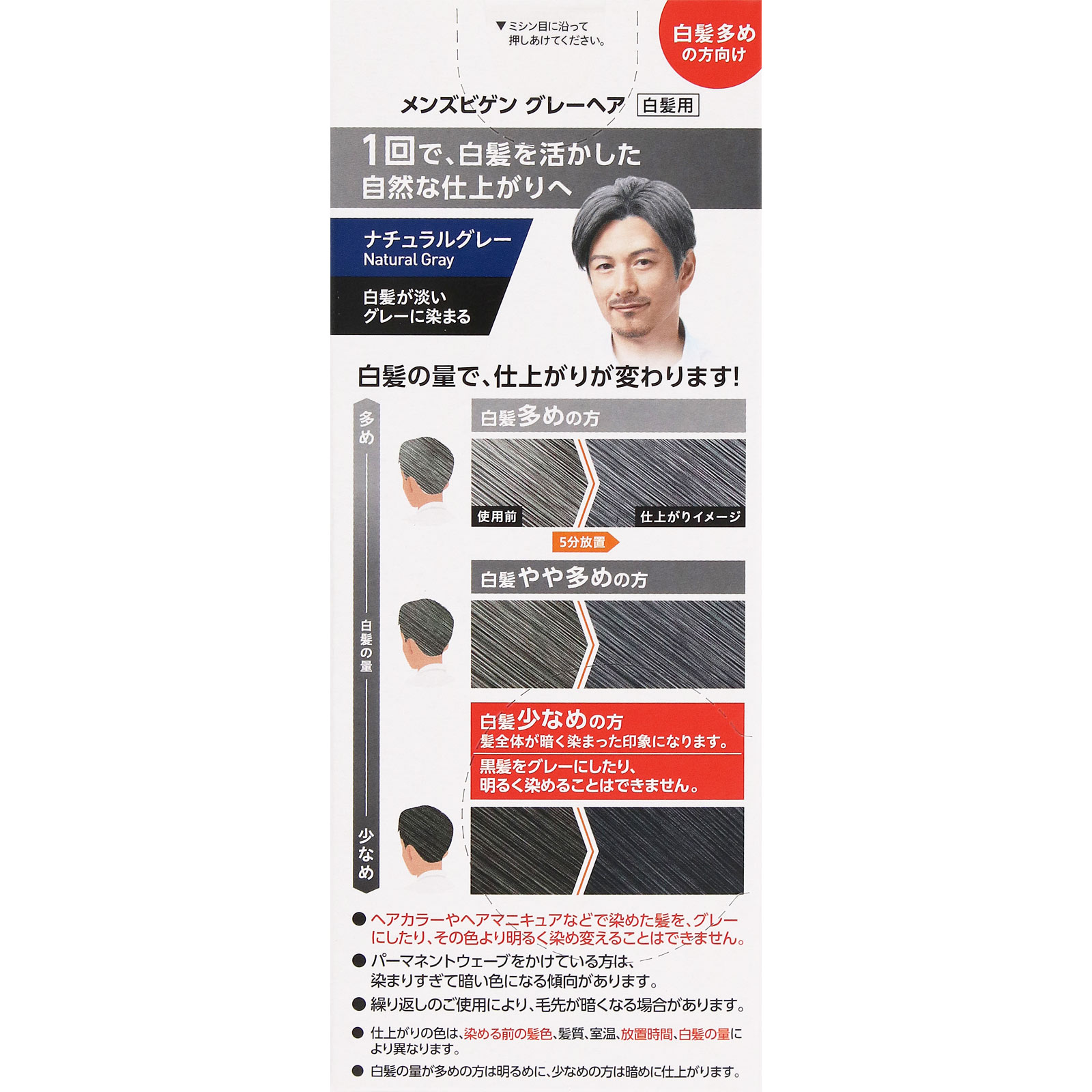 メンズビゲングレーヘア　ナチュラルグレー ４０Ｇ＋４０Ｇ ホーユー (医薬部外品)