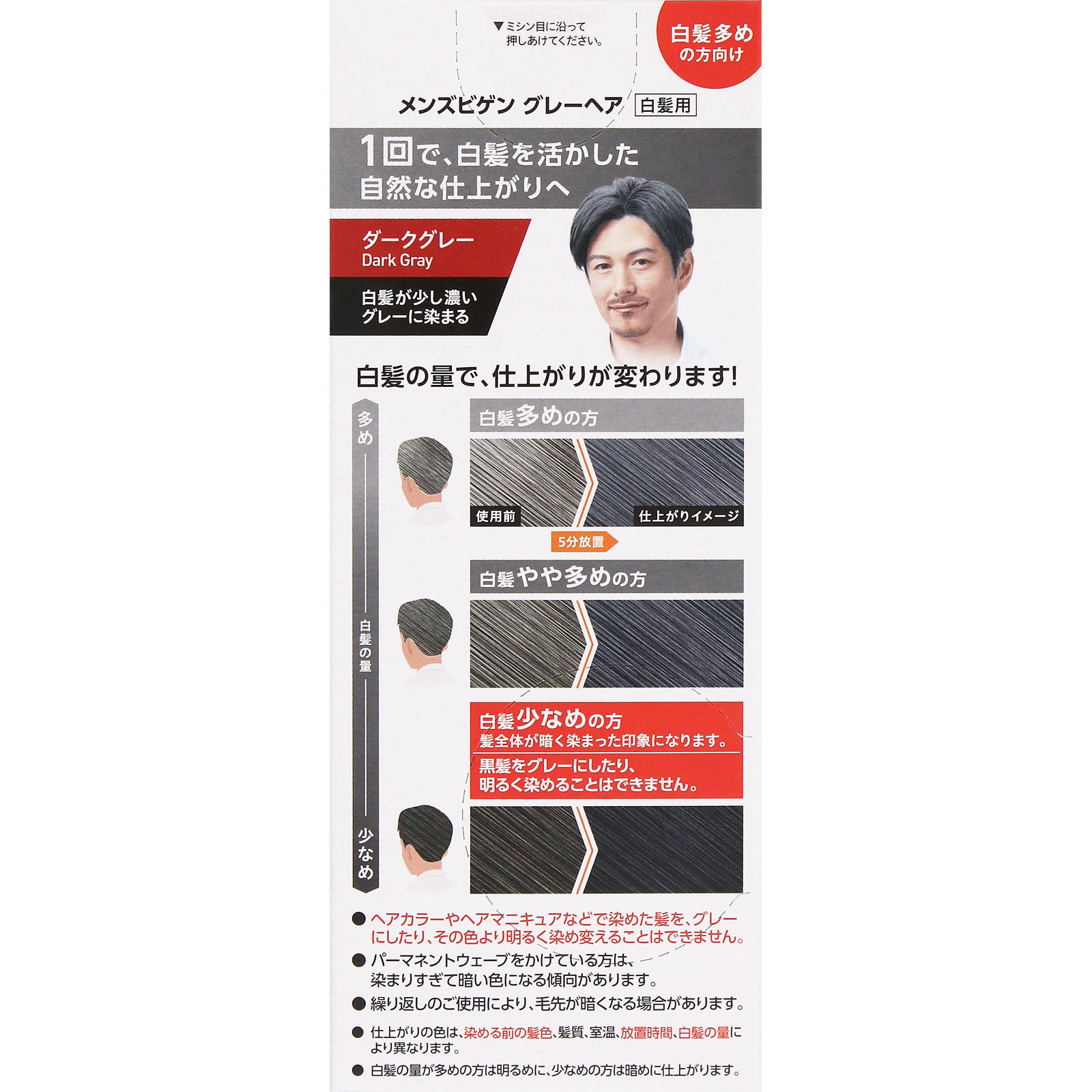 メンズビゲングレーヘア　ダークグレー ４０Ｇ＋４０Ｇ ホーユー (医薬部外品)