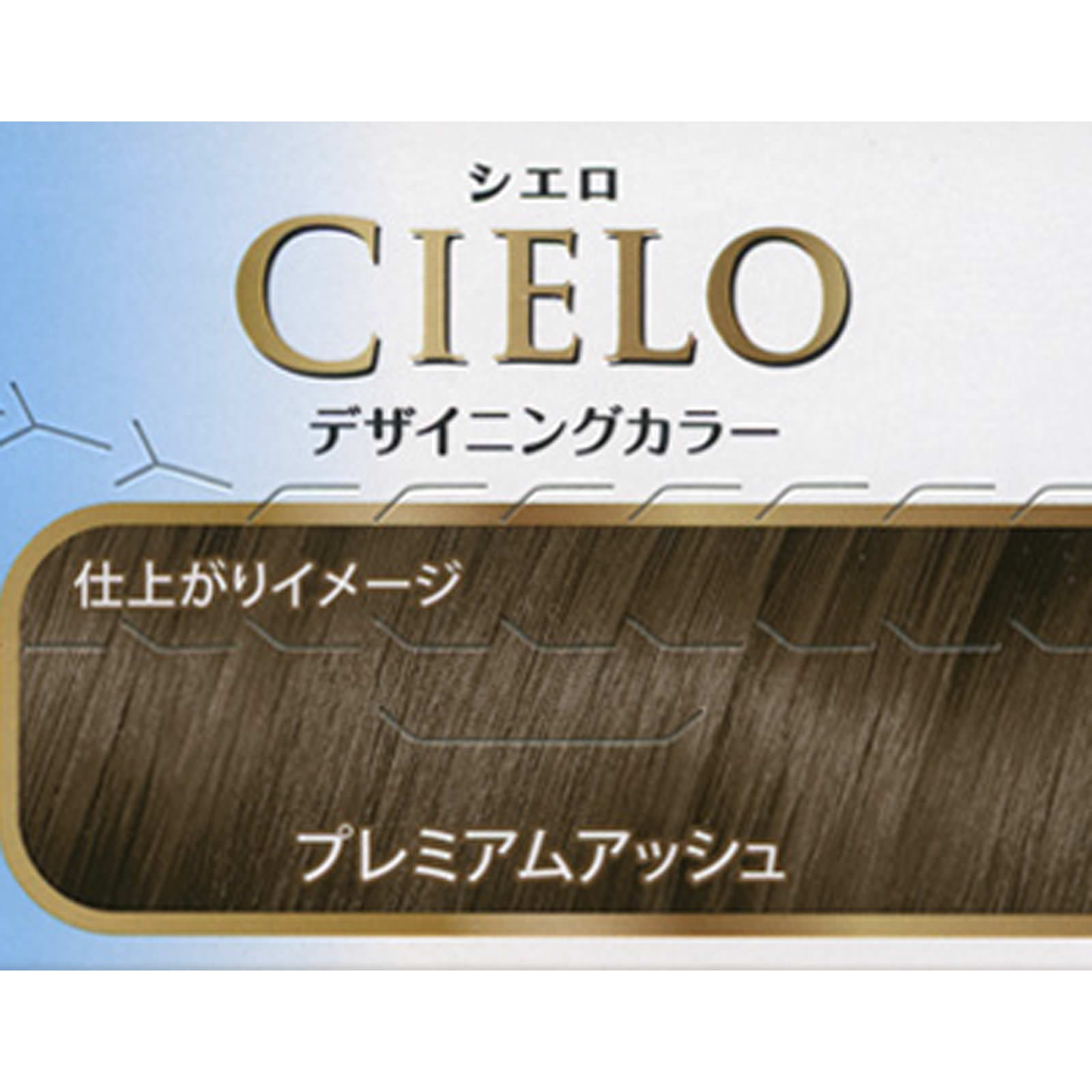 シエロ デザイニングカラー（ ３２ｇ＋９６ｍＬ＋１０ｍＬ＋１０ｇ ） プレミアムアッシュ ホーユー (医薬部外品)