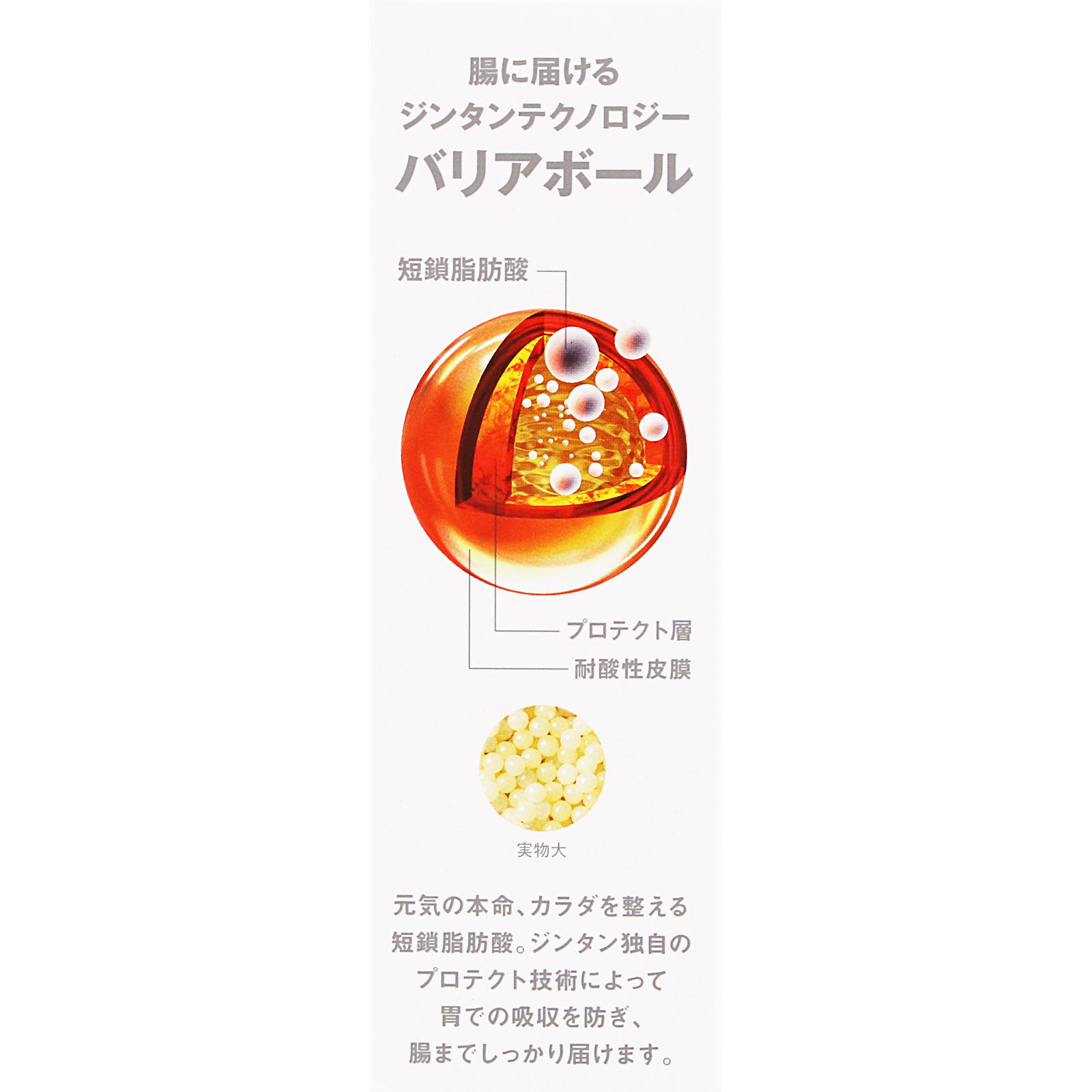 タンサ脂肪酸 30包 森下仁丹