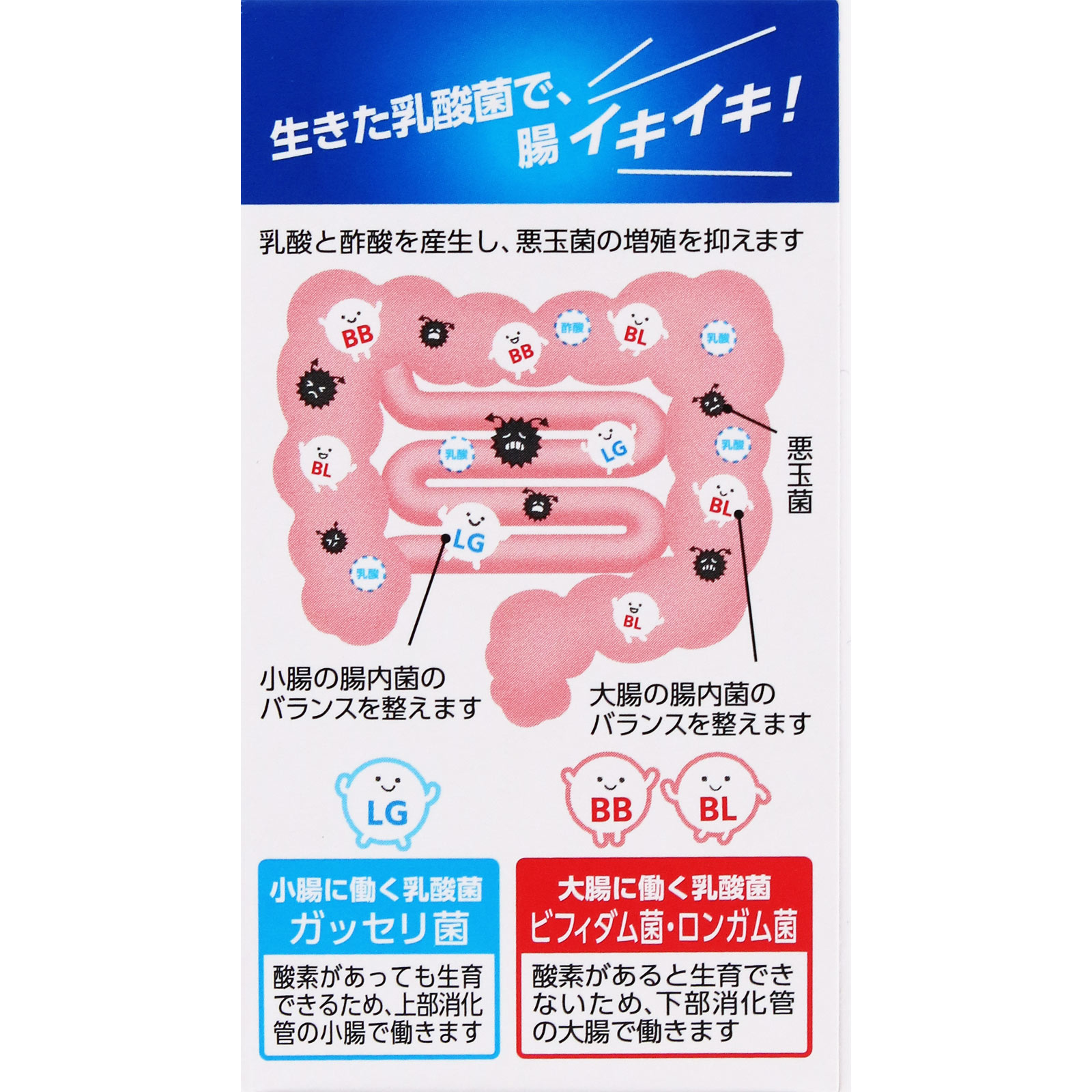 わかもと整腸薬 ２４０錠 わかもと製薬 (指定医薬部外品)