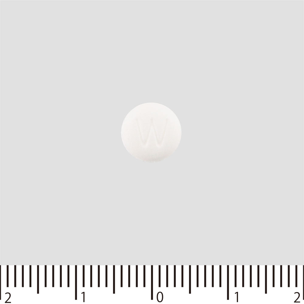 わかもと整腸薬 ９０錠 わかもと製薬 (指定医薬部外品)