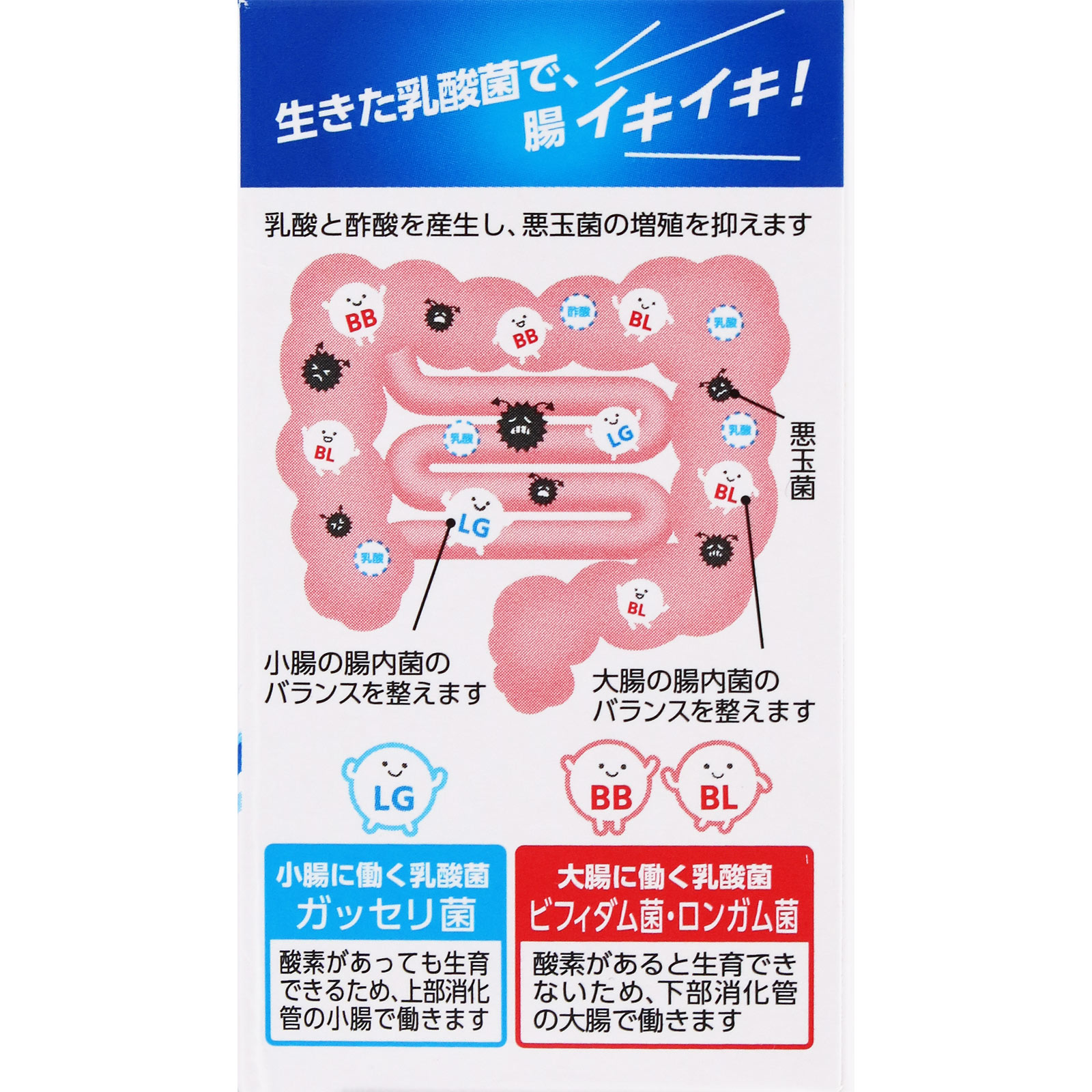 わかもと整腸薬 ９０錠 わかもと製薬 (指定医薬部外品)