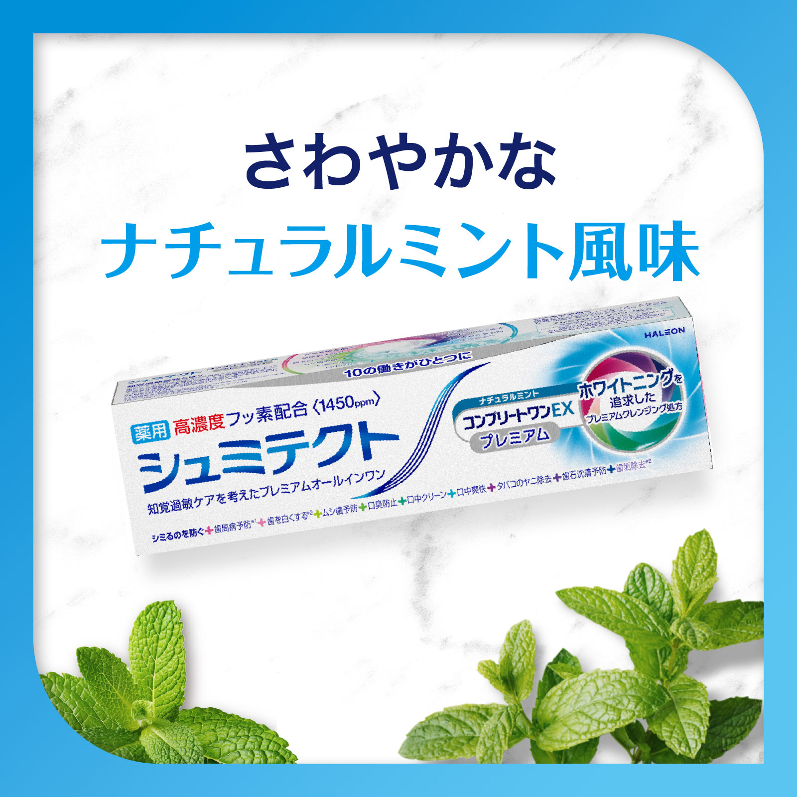 薬用シュミテクト　コンプリートワンＥＸ　プレミアム　ナチュラルミント ９０ｇ ヘイリオンジャパン (医薬部外品)