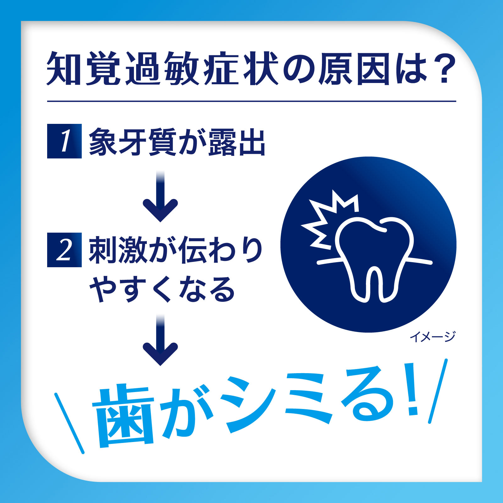 薬用シュミテクト　コンプリートワンＥＸ　プレミアム　ナチュラルミント ９０ｇ ヘイリオンジャパン (医薬部外品)