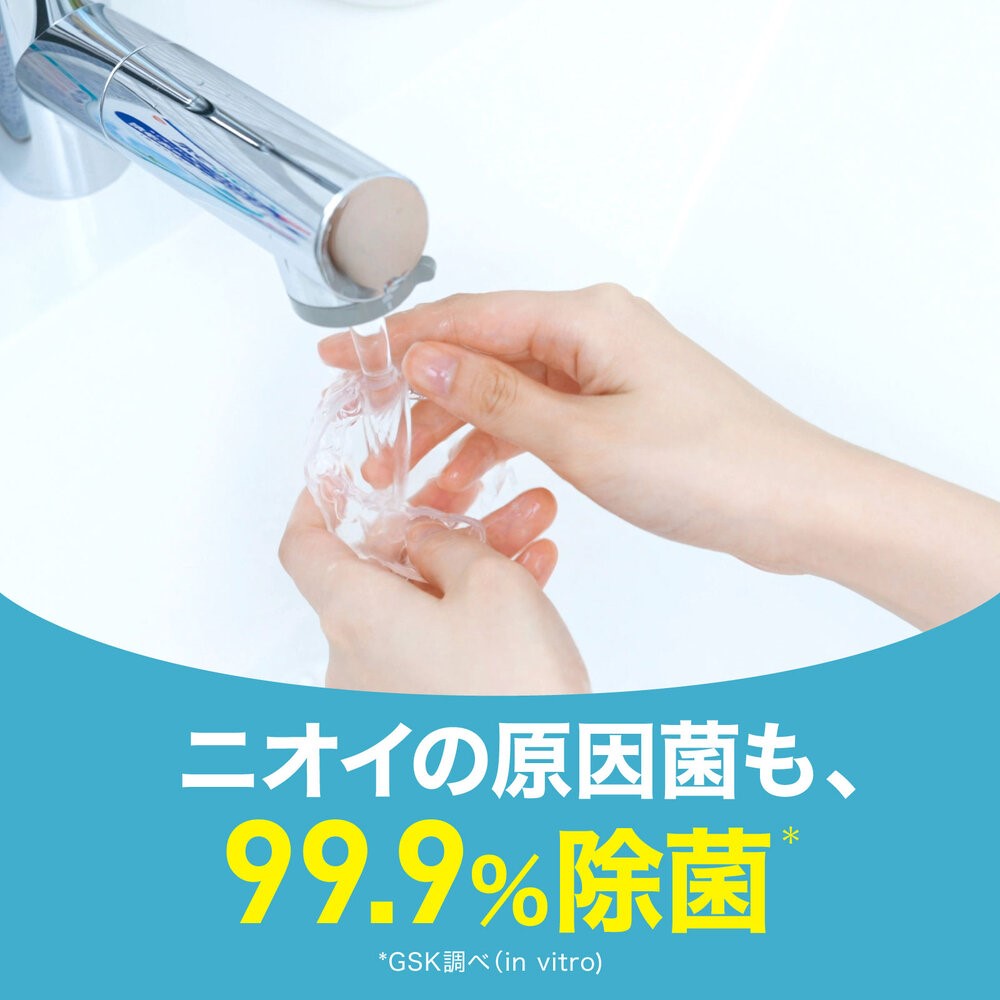 ポリデント デンタルラボ マウスピース（ガード）・矯正用リテーナー用洗浄剤 ４８錠 ヘイリオンジャパン (医薬部外品)