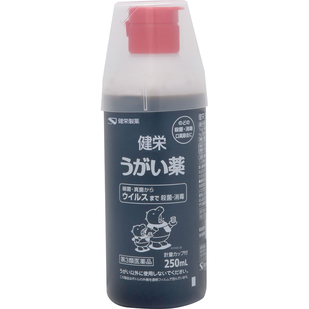 健栄うがい薬 ２５０ｍｌ 健栄製薬 【第3類医薬品】
