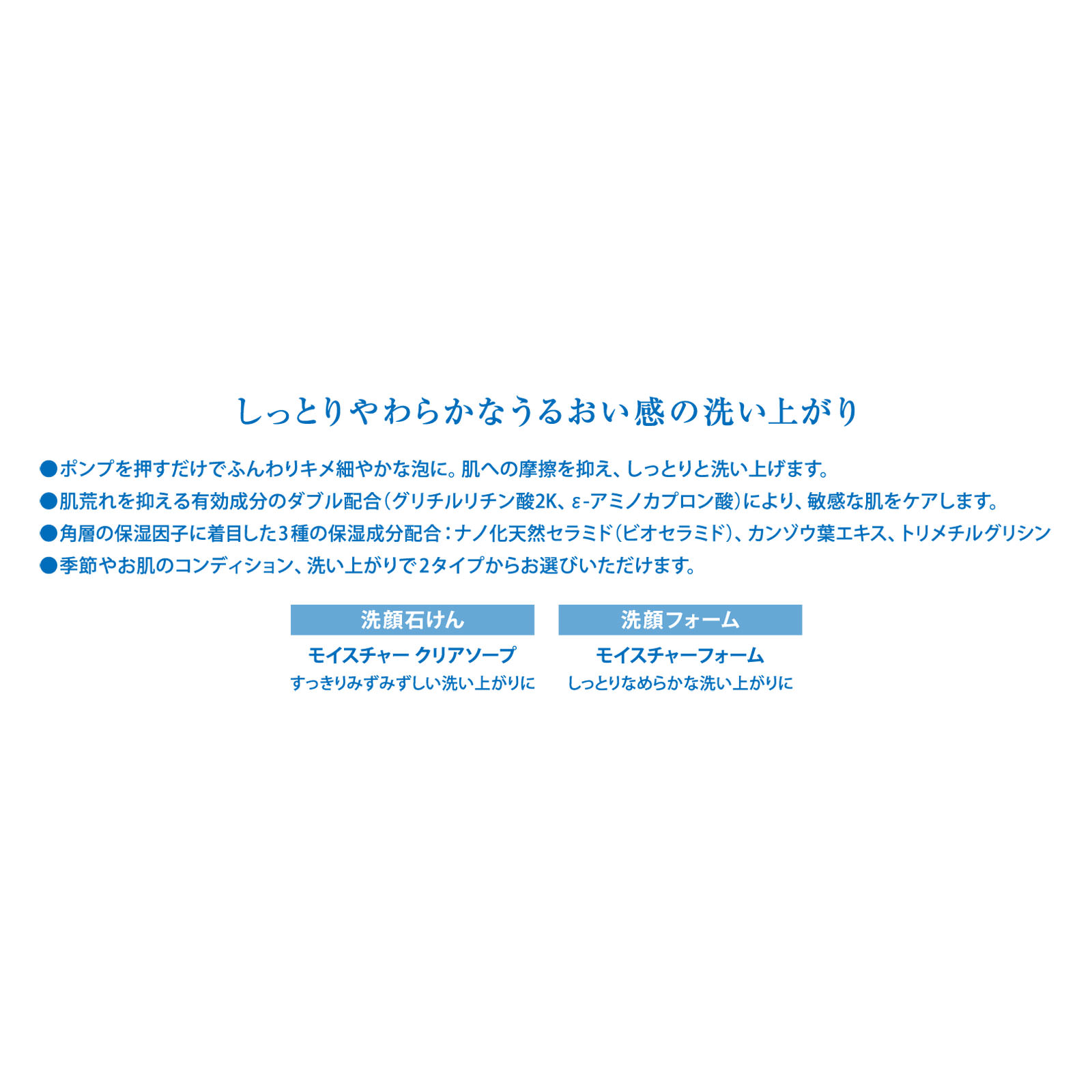 アルージェ モイスチャーフォーム １００ミリ 全薬工業 (医薬部外品)