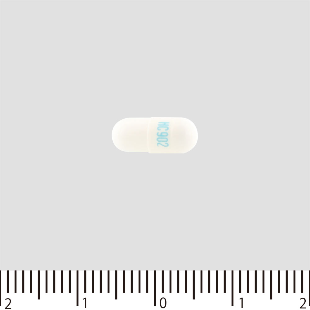 大正胃腸薬Ｐ １０カプセル 大正製薬 【第2類医薬品】