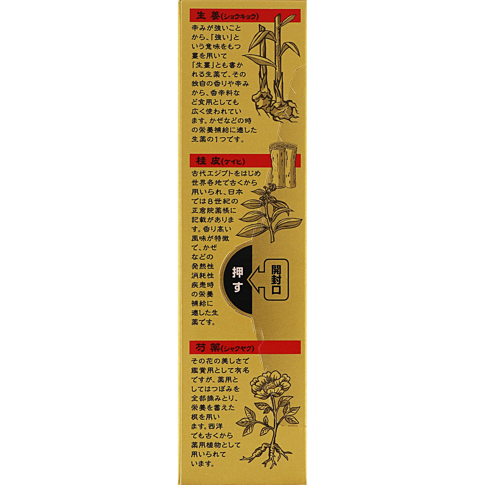 ゼナジンジャー 滋温液 ５０ｍＬ 大正製薬 【第2類医薬品】