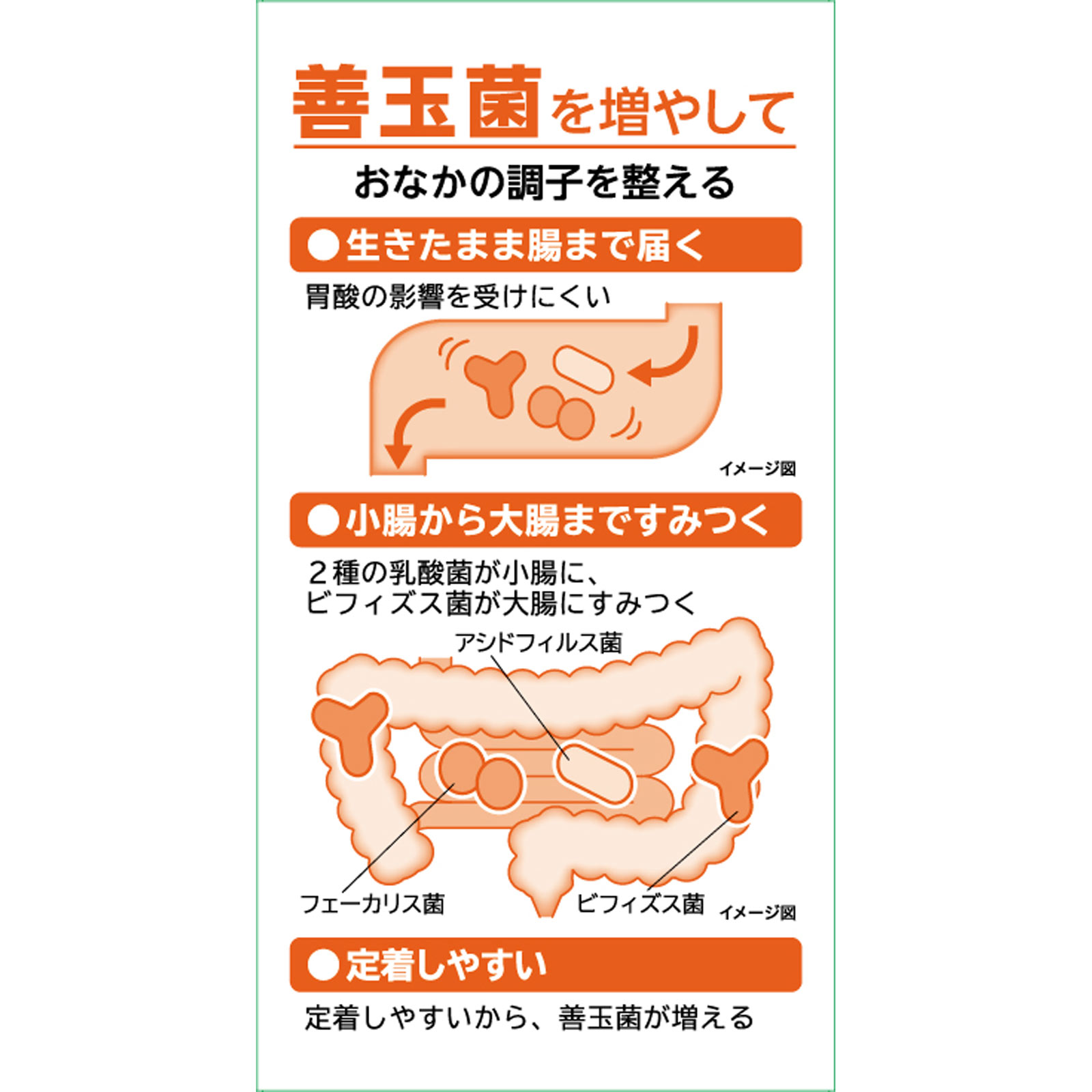 新ビオフェルミンS細粒 45g 大正製薬 (指定医薬部外品)