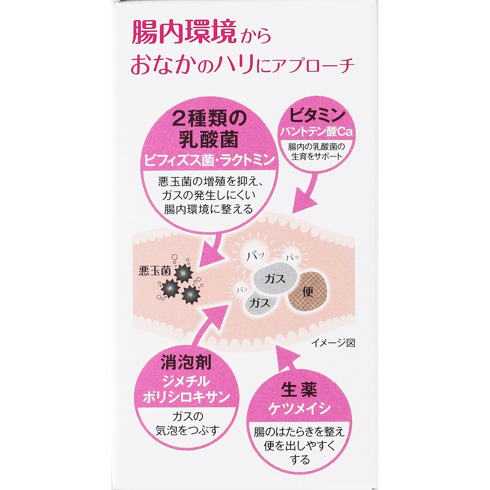 ビオフェルミン ぽっこり整腸チュアブルａ ３０錠 大正製薬 【第3類医薬品】