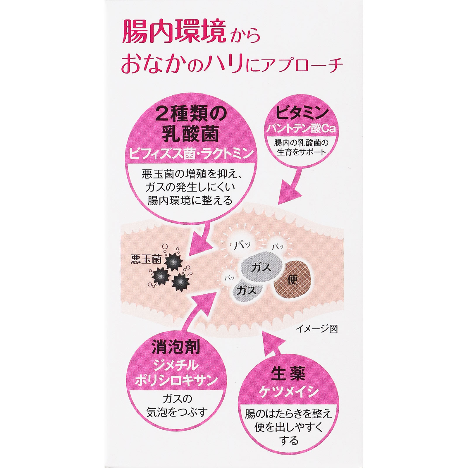 ビオフェルミン ぽっこり整腸チュアブルａ ６０錠 大正製薬 【第3類医薬品】