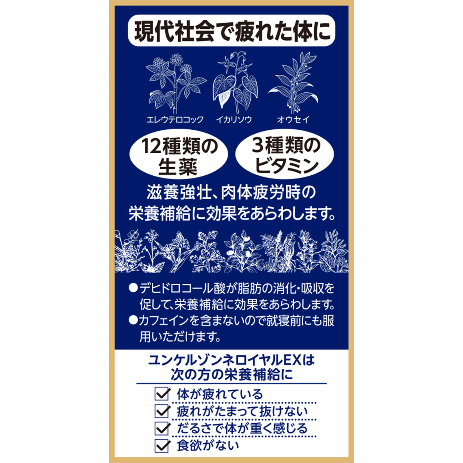 佐藤製薬　ユンケルゾンネロイヤルＥＸ ４８錠 佐藤製薬 【第2類医薬品】