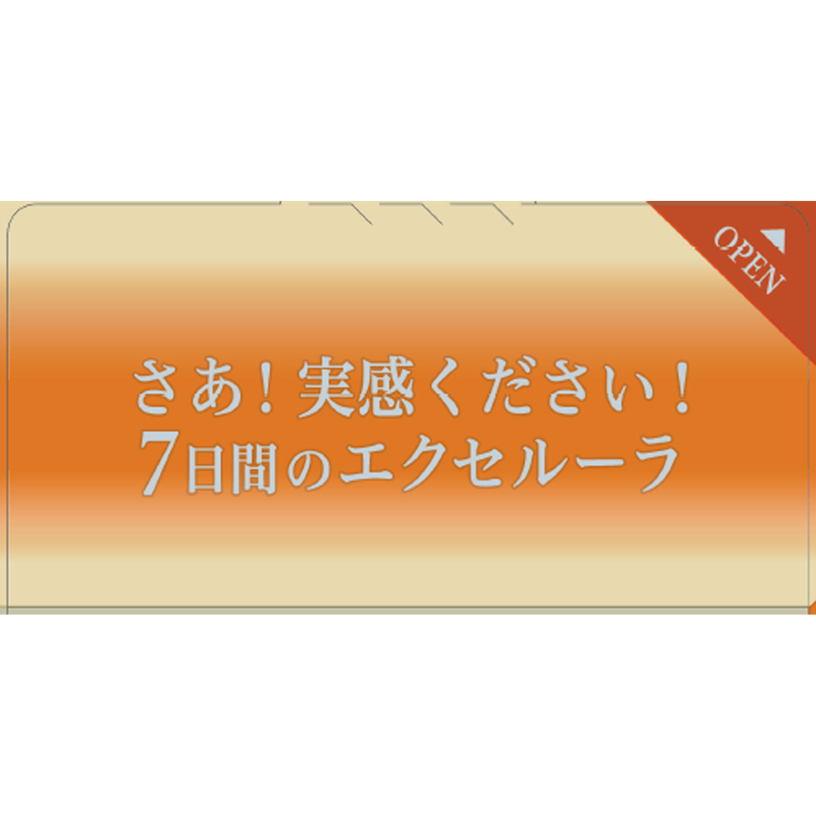 エクセルーラ ザ・トライアルセット（とてもしっとり