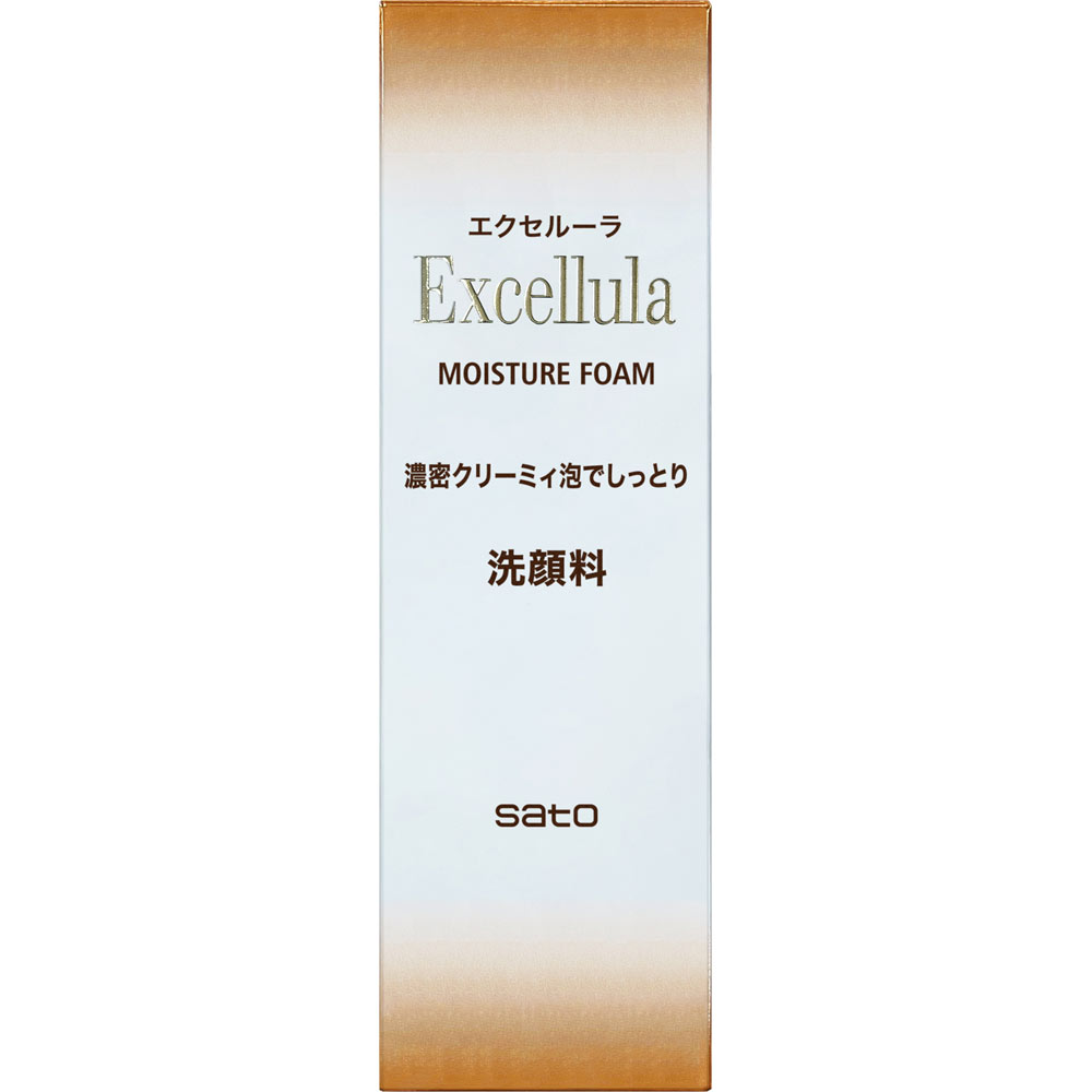 エクセルーラ ＥＸモイスチュアフォーム １２０ｇ 佐藤製薬