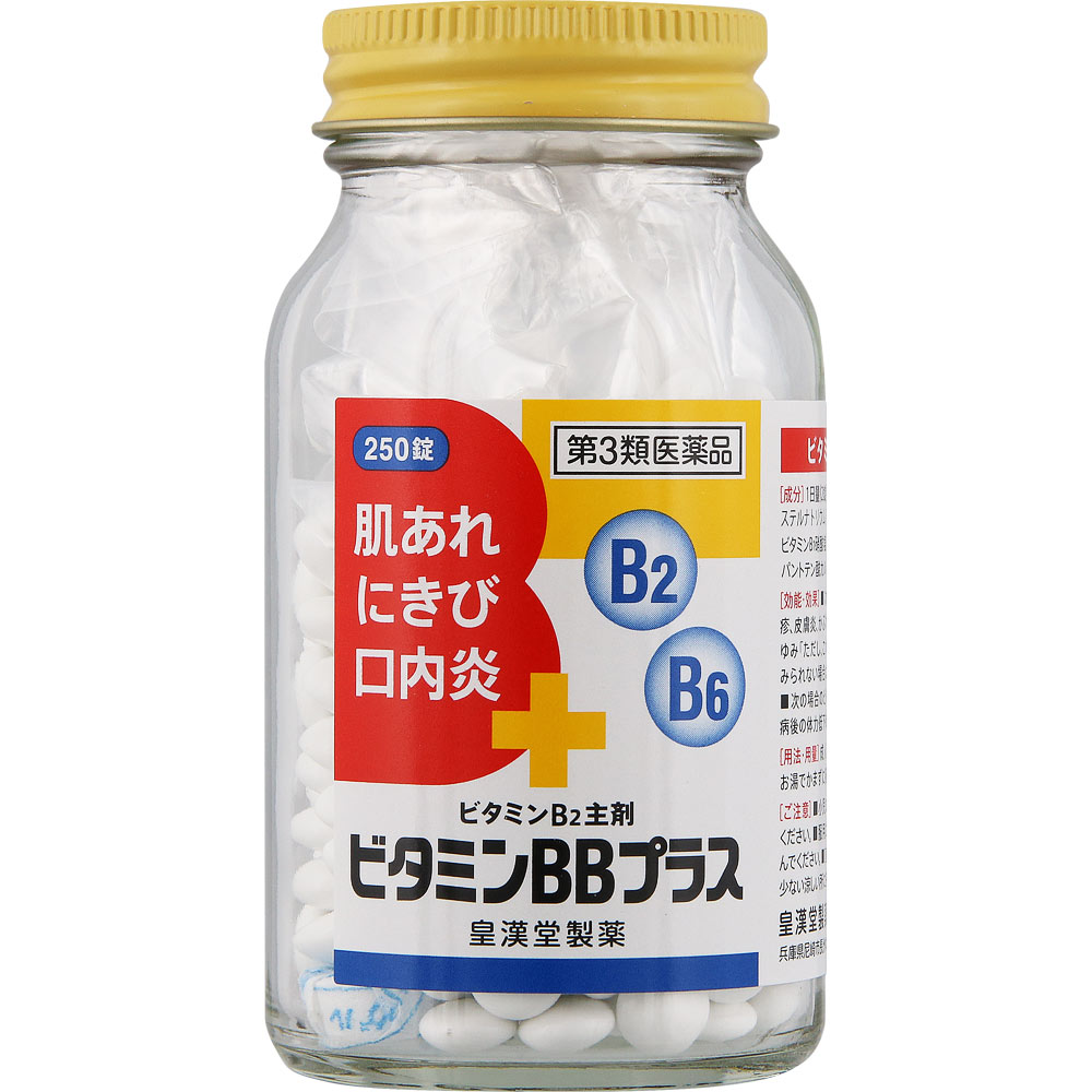 ビタミンBBプラス「クニヒロ」 ２５０錠 皇漢堂製薬 【第3類医薬品】