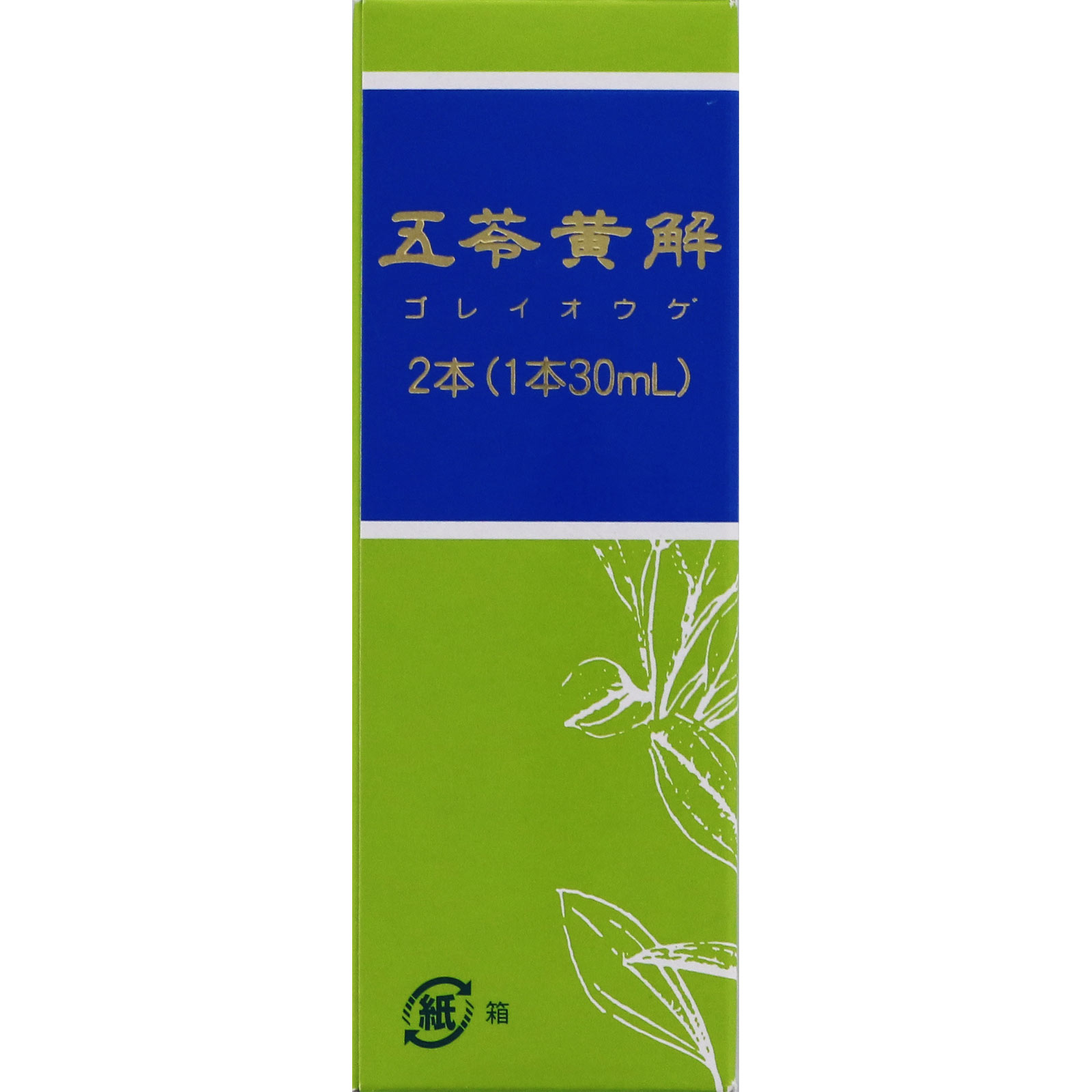 五苓黄解内服液 30ml×2本 ジェーピーエス製薬 【第2類医薬品】