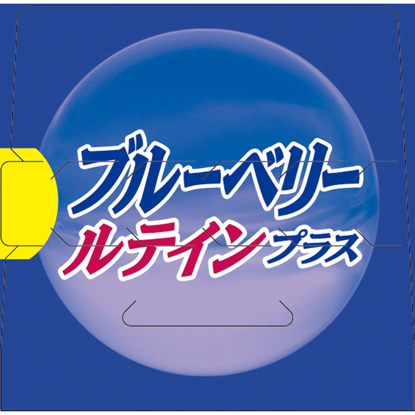 ブルーベリー ルテインプラス ６０粒 井藤漢方製薬