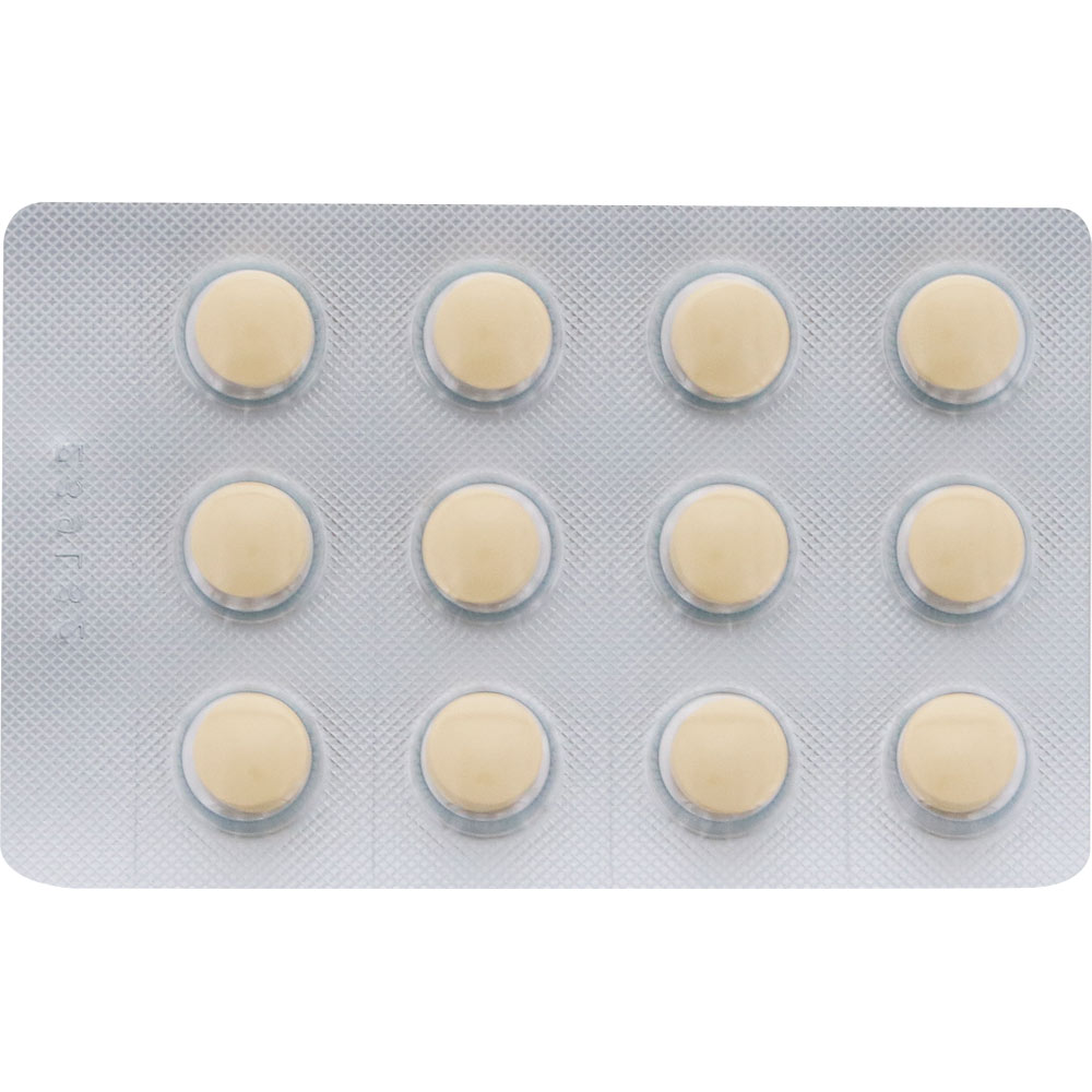 アネトンせき止め錠 ４８錠 アリナミン製薬 【指定第2類医薬品】