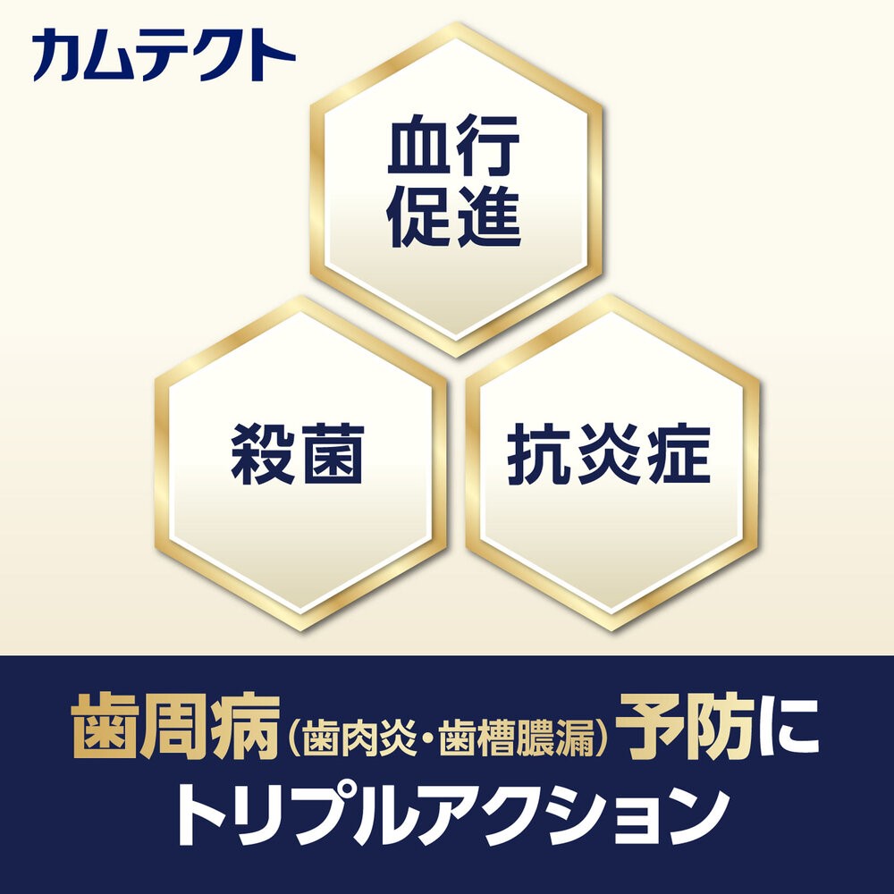 カムテクト　プレミアム　ホワイトニング ９５ｇ ヘイリオンジャパン (医薬部外品)