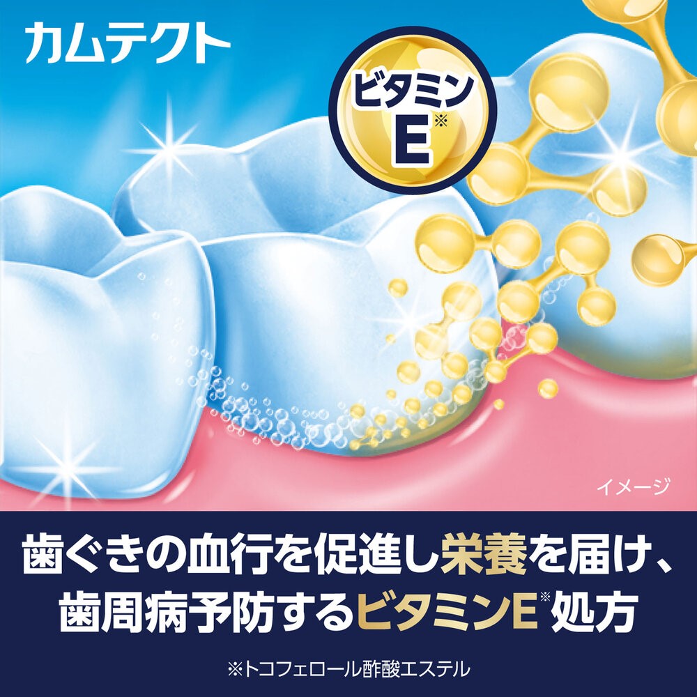 カムテクト　プレミアム　ホワイトニング ９５ｇ ヘイリオンジャパン (医薬部外品)