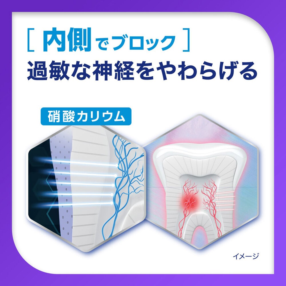 薬用シュミテクト　プラチナプロテクトＥＸ　クリアミント ９０ｇ ヘイリオンジャパン (医薬部外品)