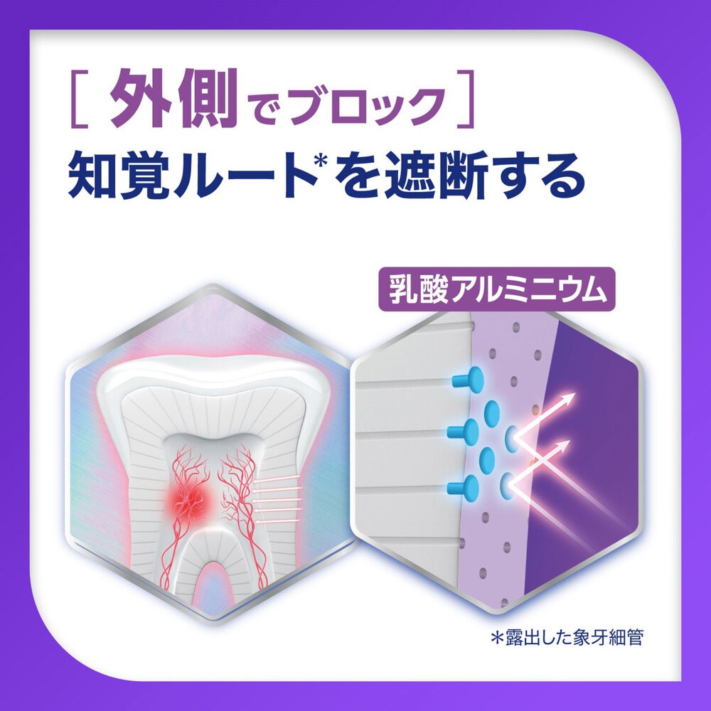 薬用シュミテクト　プラチナプロテクトＥＸ　クリアミント ９０ｇ ヘイリオンジャパン (医薬部外品)