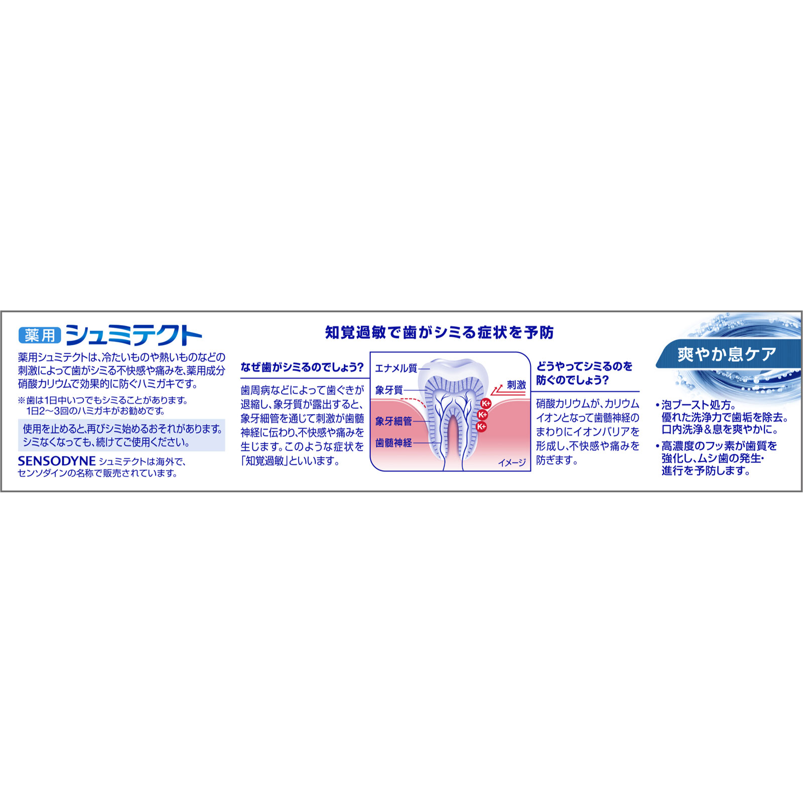 シュミテクト　爽やか息ケア ９５ｇ ヘイリオンジャパン (医薬部外品)