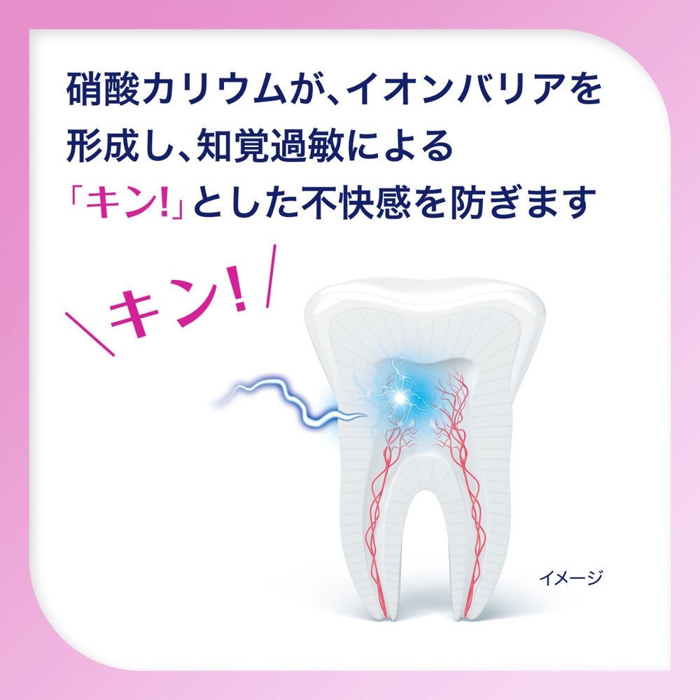 シュミテクト　歯周病ケア ９５ｇ ヘイリオンジャパン (医薬部外品)