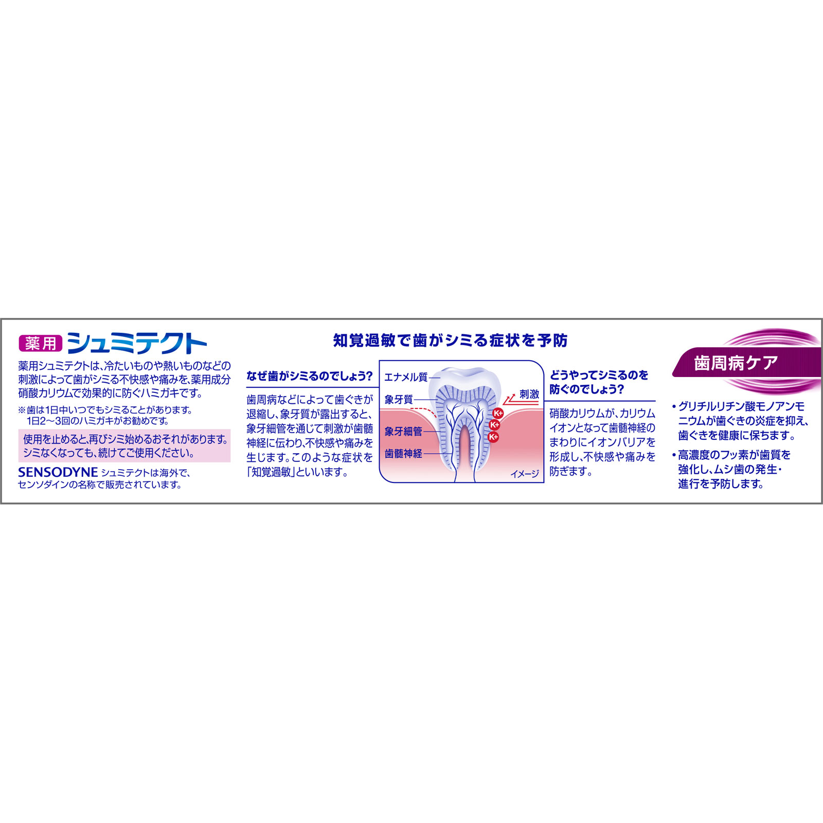 シュミテクト 歯周病ケア 95g ヘイリオンジャパン (医薬部外品)