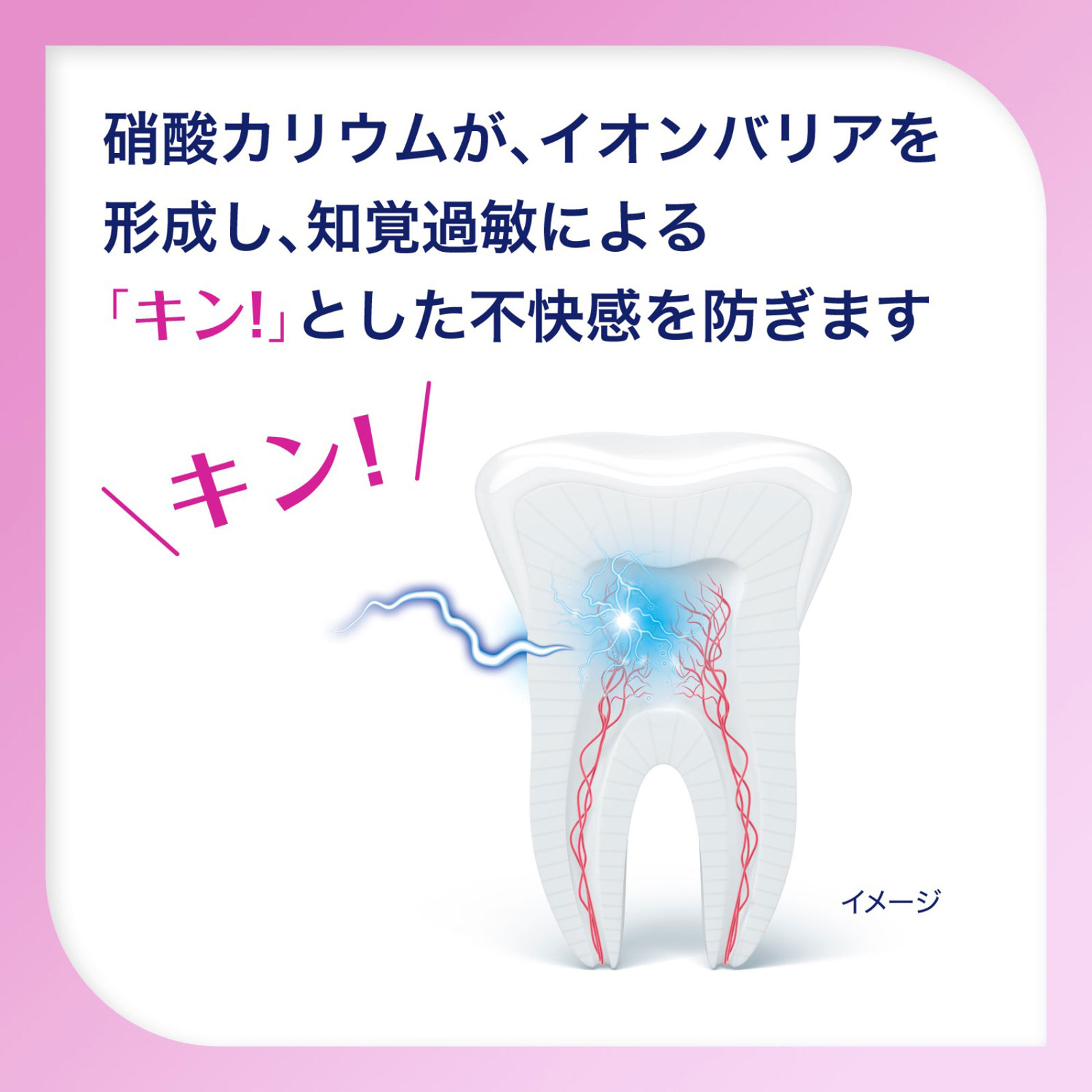 シュミテクト 歯周病ケア 95g ヘイリオンジャパン (医薬部外品)