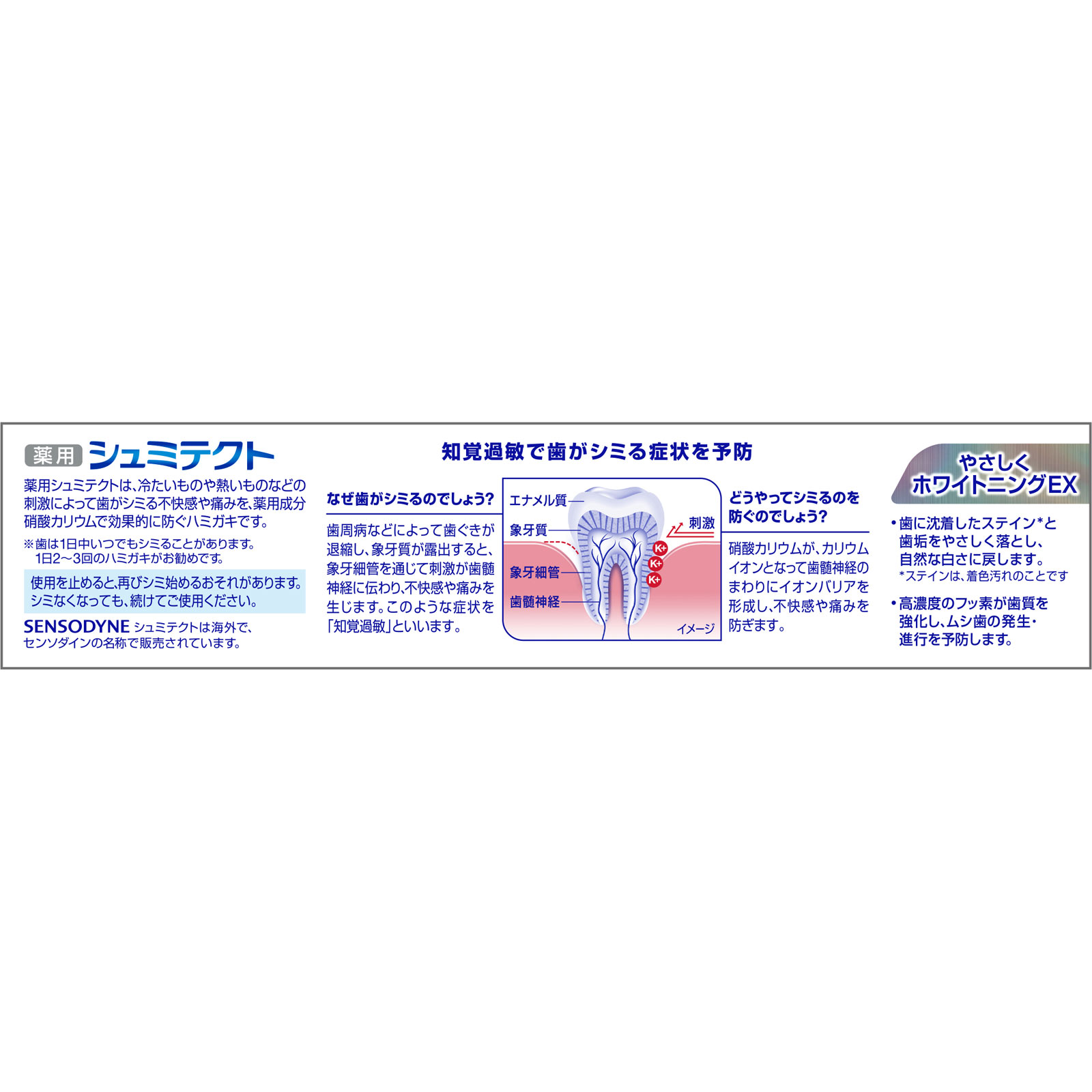 シュミテクト　やさしくホワイトニングＥＸ ９５ｇ ヘイリオンジャパン (医薬部外品)