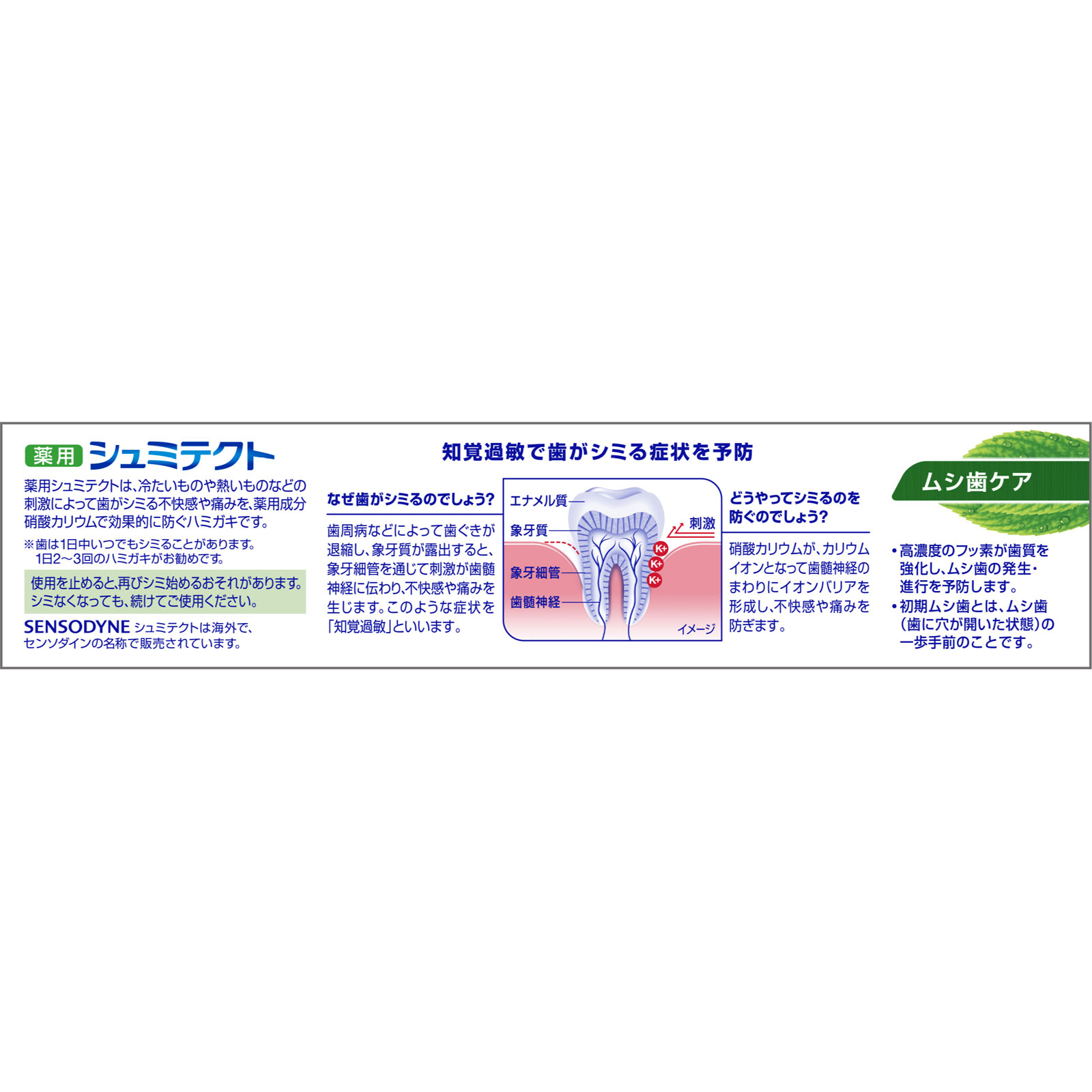シュミテクト　ムシ歯ケア ９５ｇ ヘイリオンジャパン (医薬部外品)