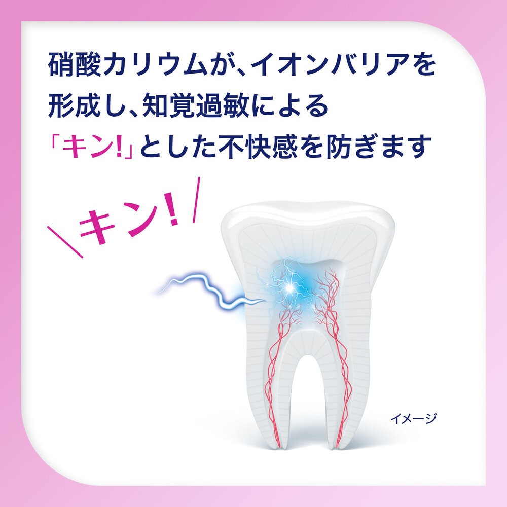 シュミテクト　歯周病ケア＋口臭予防 ９０ｇ ヘイリオンジャパン (医薬部外品)