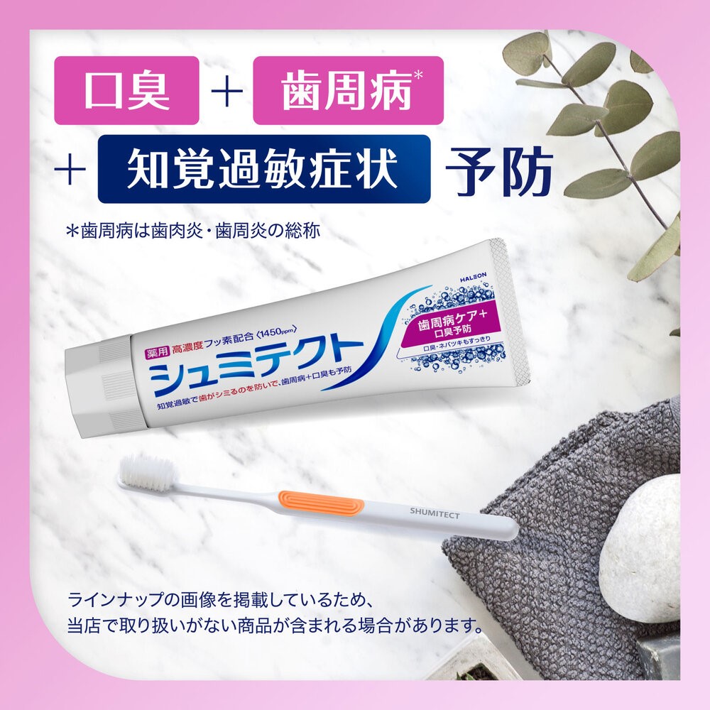 シュミテクト　歯周病ケア＋口臭予防 ９０ｇ ヘイリオンジャパン (医薬部外品)