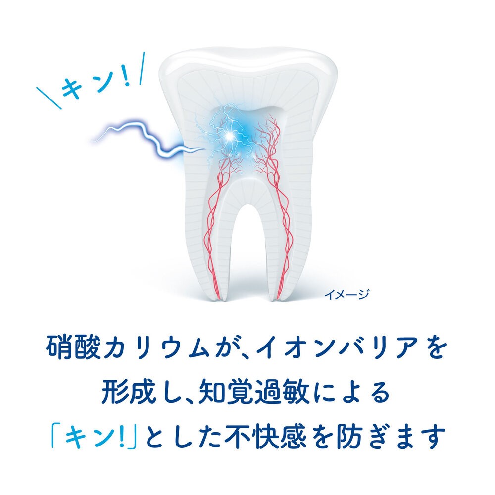 シュミテクト　トゥルーホワイト ８０ｇ ヘイリオンジャパン (医薬部外品)