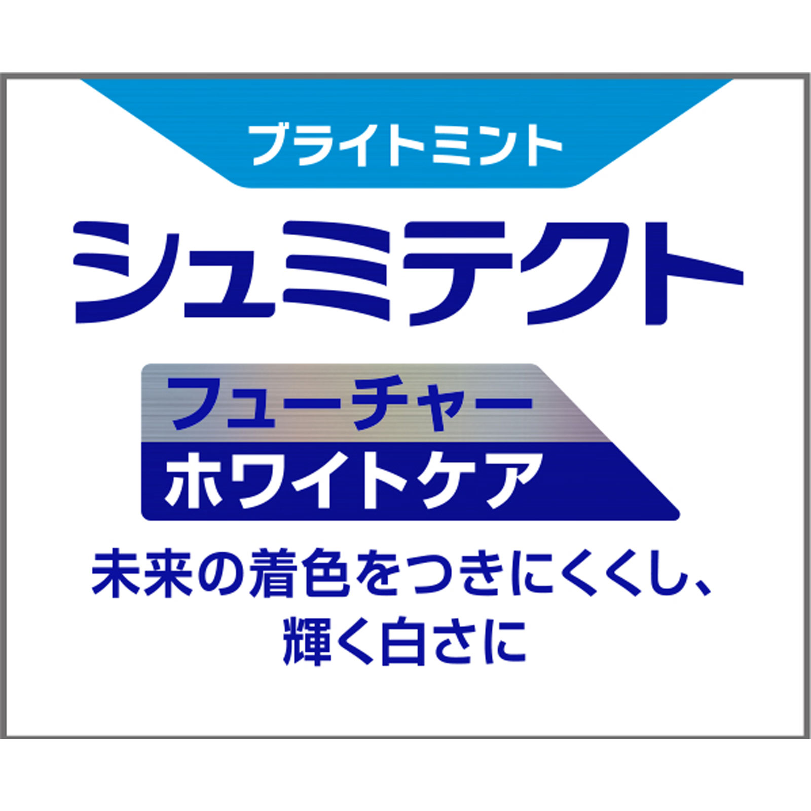 シュミテクトフューチャーホワイトケアブライトミント ８０ｇ ヘイリオンジャパン (医薬部外品)