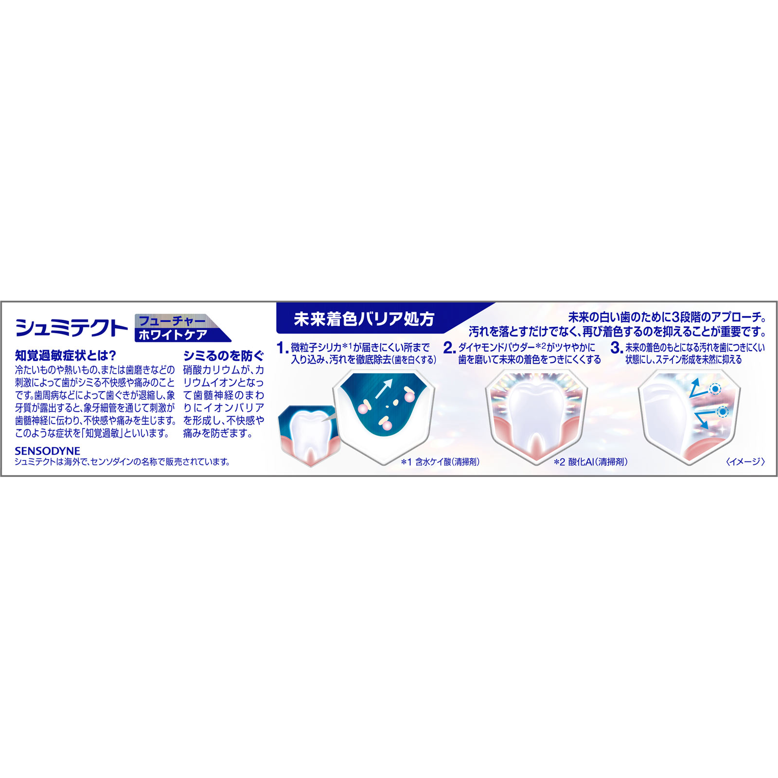 シュミテクトフューチャーホワイトケアブライトミント ８０ｇ ヘイリオンジャパン (医薬部外品)