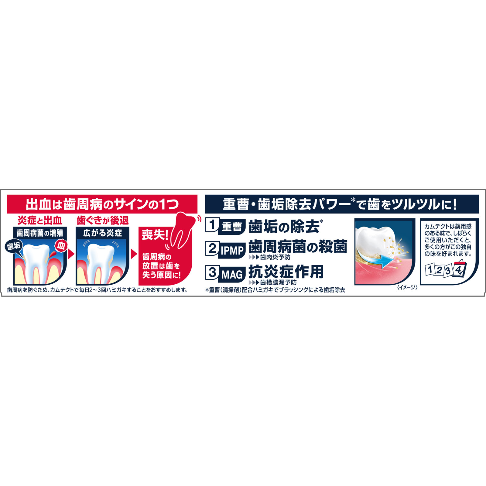 カムテクト　歯ぐきケア １１５ｇ ヘイリオンジャパン (医薬部外品)