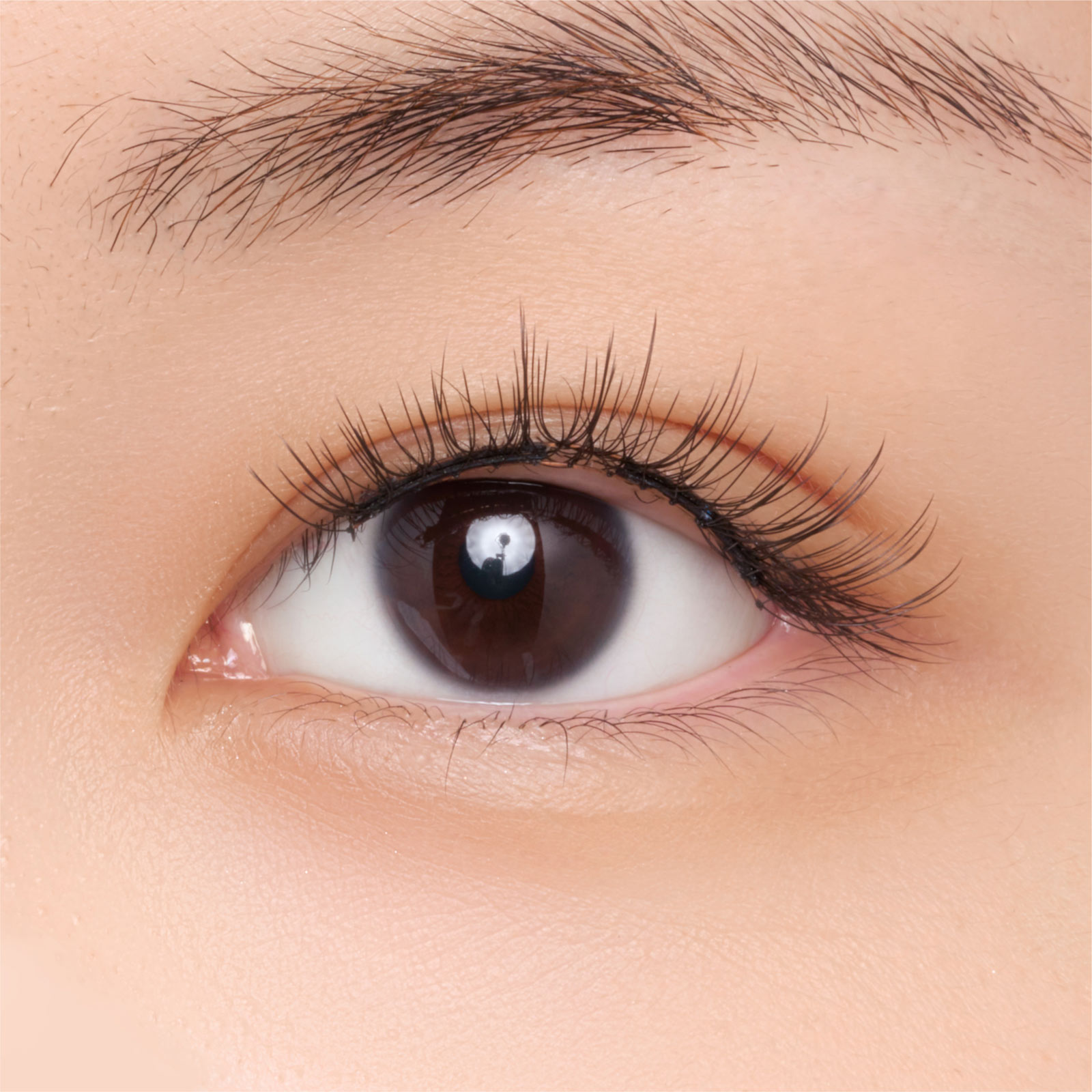 ＷＯＳＡＤＯ ソフトマグネット式つけまつげ・ナチュラルブラック２．０ ＿ ＯＢＤＲｅｓｏｕｒｃｅ電子