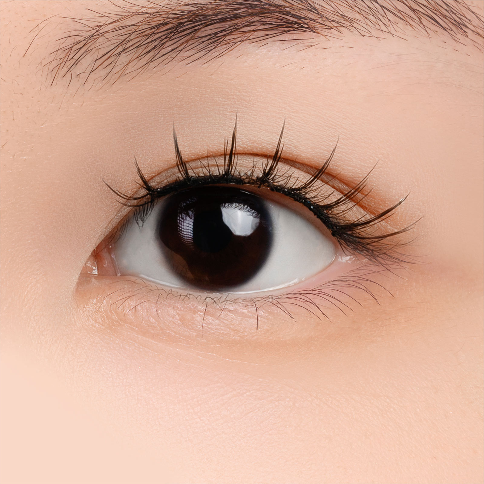 ＷＯＳＡＤＯ ソフトマグネット式つけまつげ・曜石ブラック ＿ ＯＢＤＲｅｓｏｕｒｃｅ電子