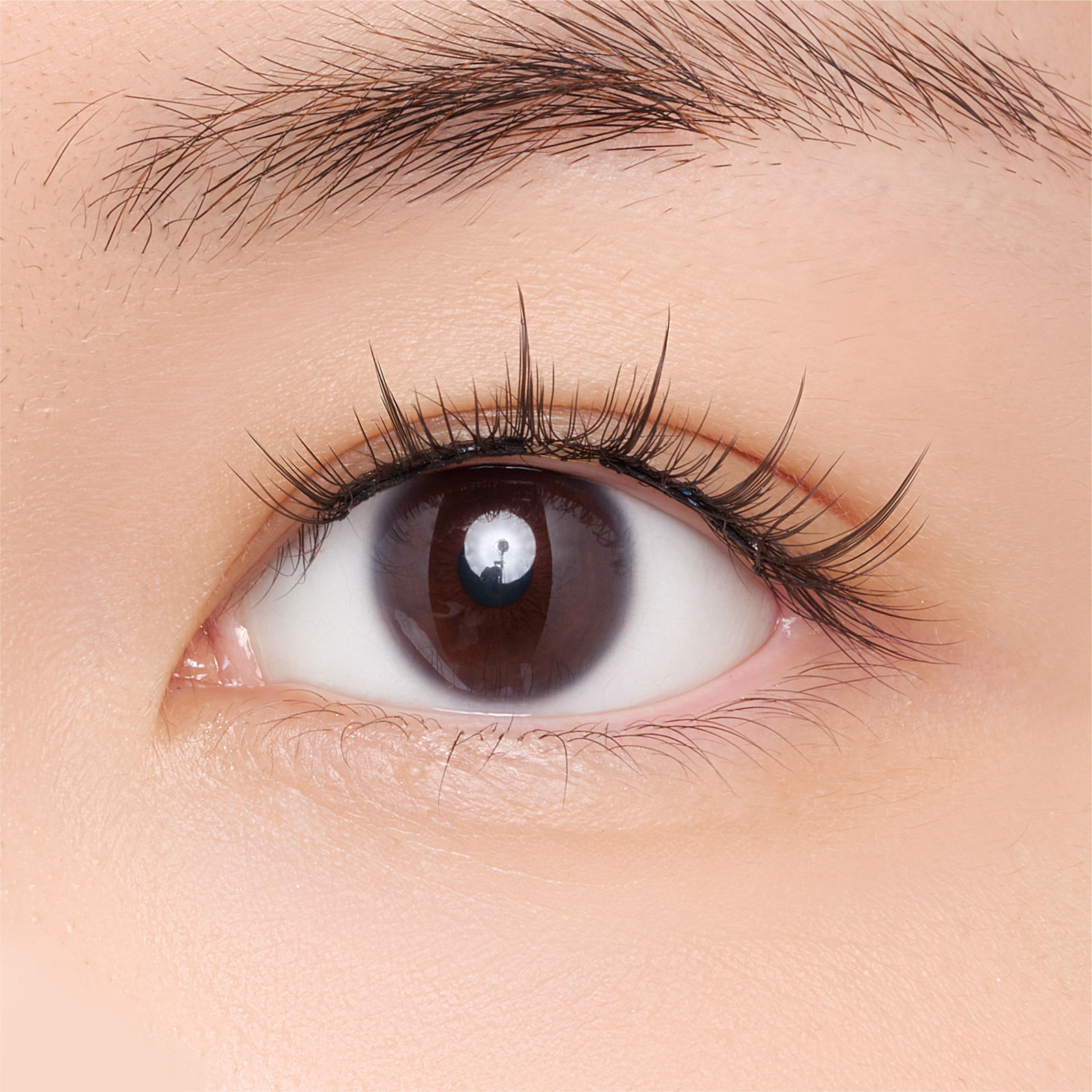 ＷＯＳＡＤＯ ソフトマグネット式つけまつげ・フォグブラック ＿ ＯＢＤＲｅｓｏｕｒｃｅ電子