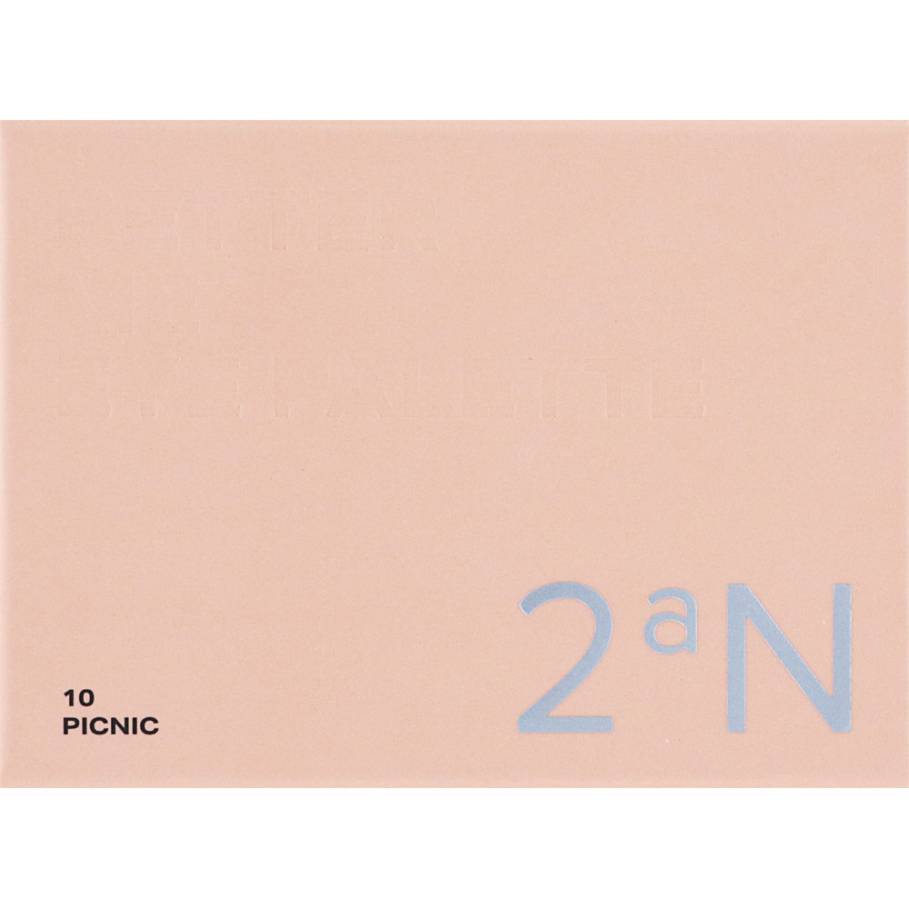 2aN Better Me Eye Palette 10 Picnic _